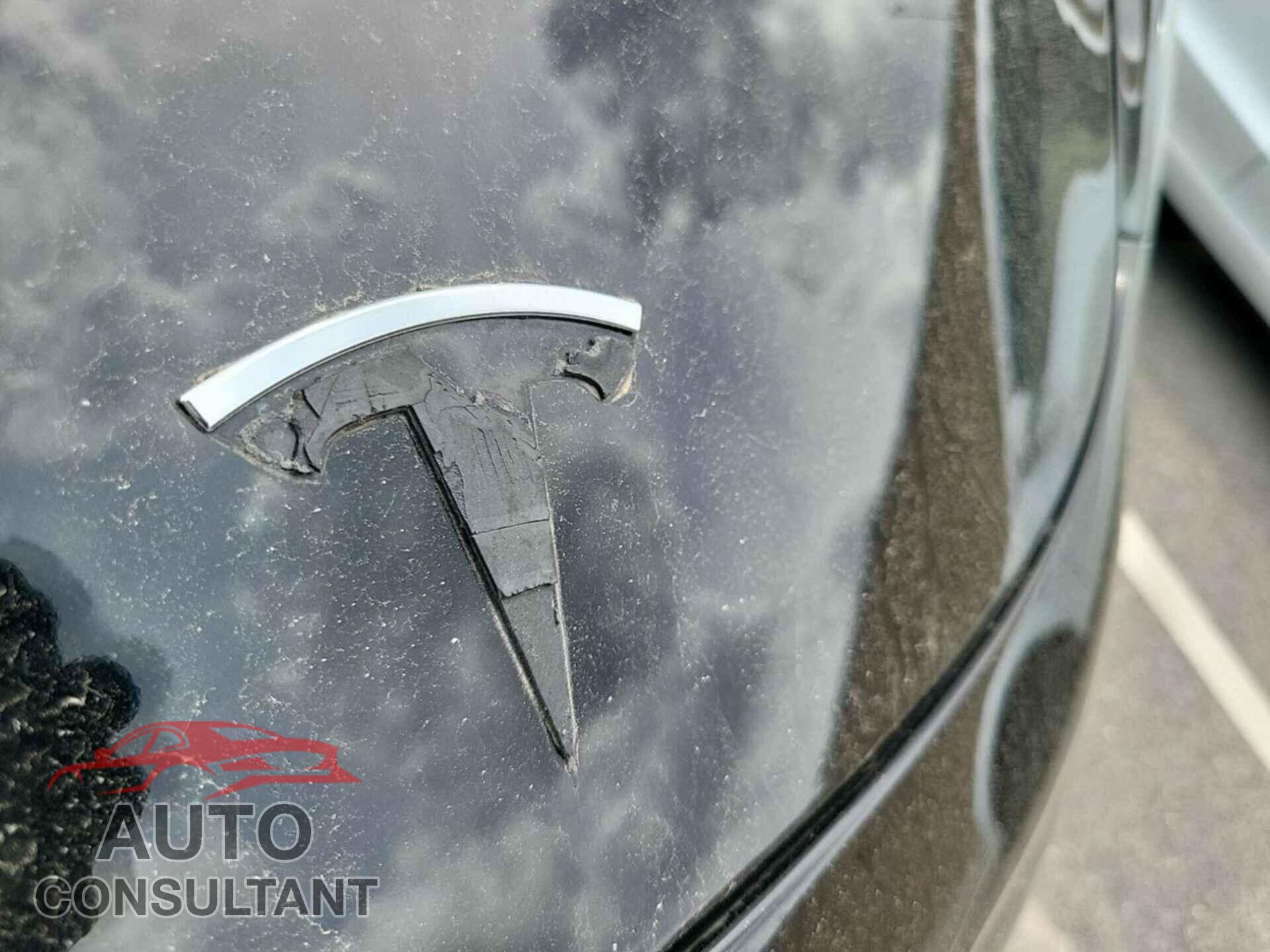 TESLA MODEL 3 2019 - 5YJ3E1EB0KF199215