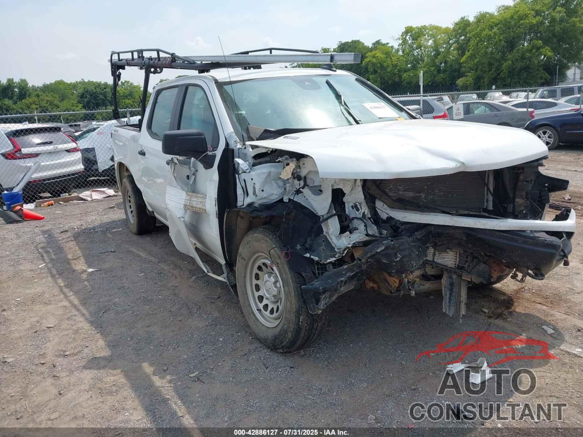 CHEVROLET SILVERADO 1500 2024 - 1GCPDAEK2RZ351066
