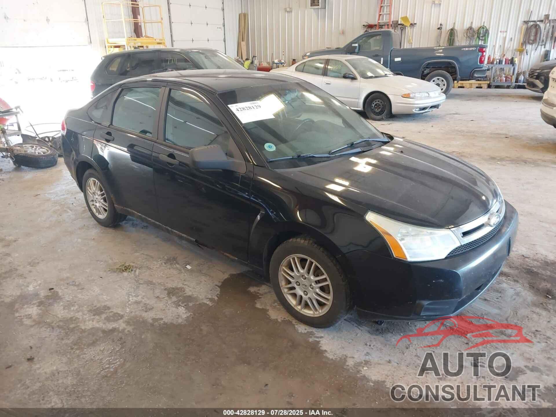 FORD FOCUS 2011 - 1FAHP3FN7BW130141