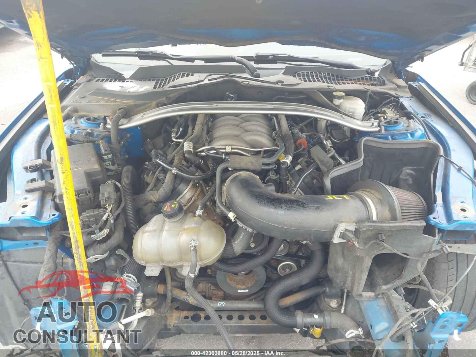 FORD MUSTANG 2019 - 1FA6P8CF2K5141734