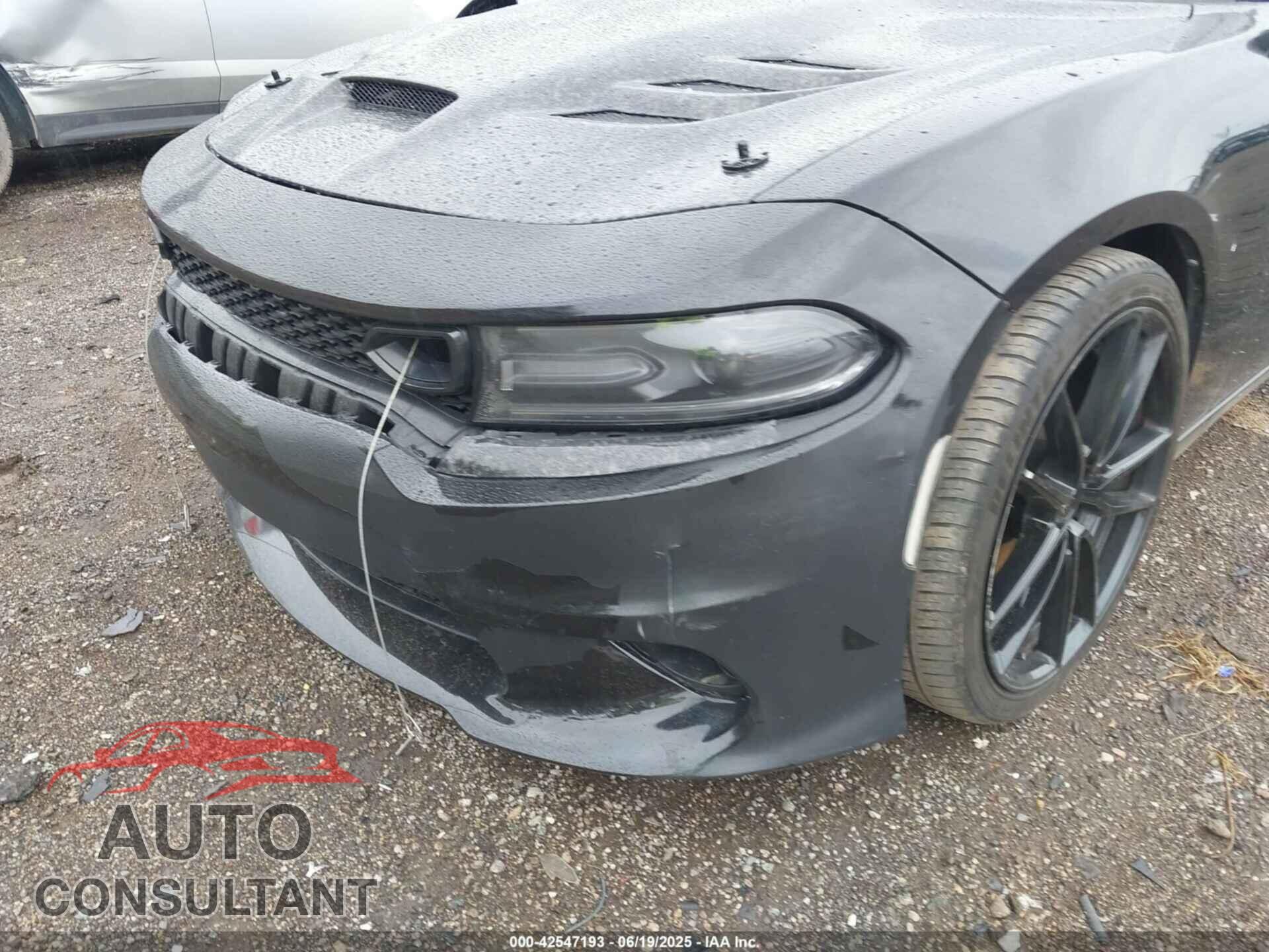 DODGE CHARGER 2019 - 2C3CDXKT8KH547876
