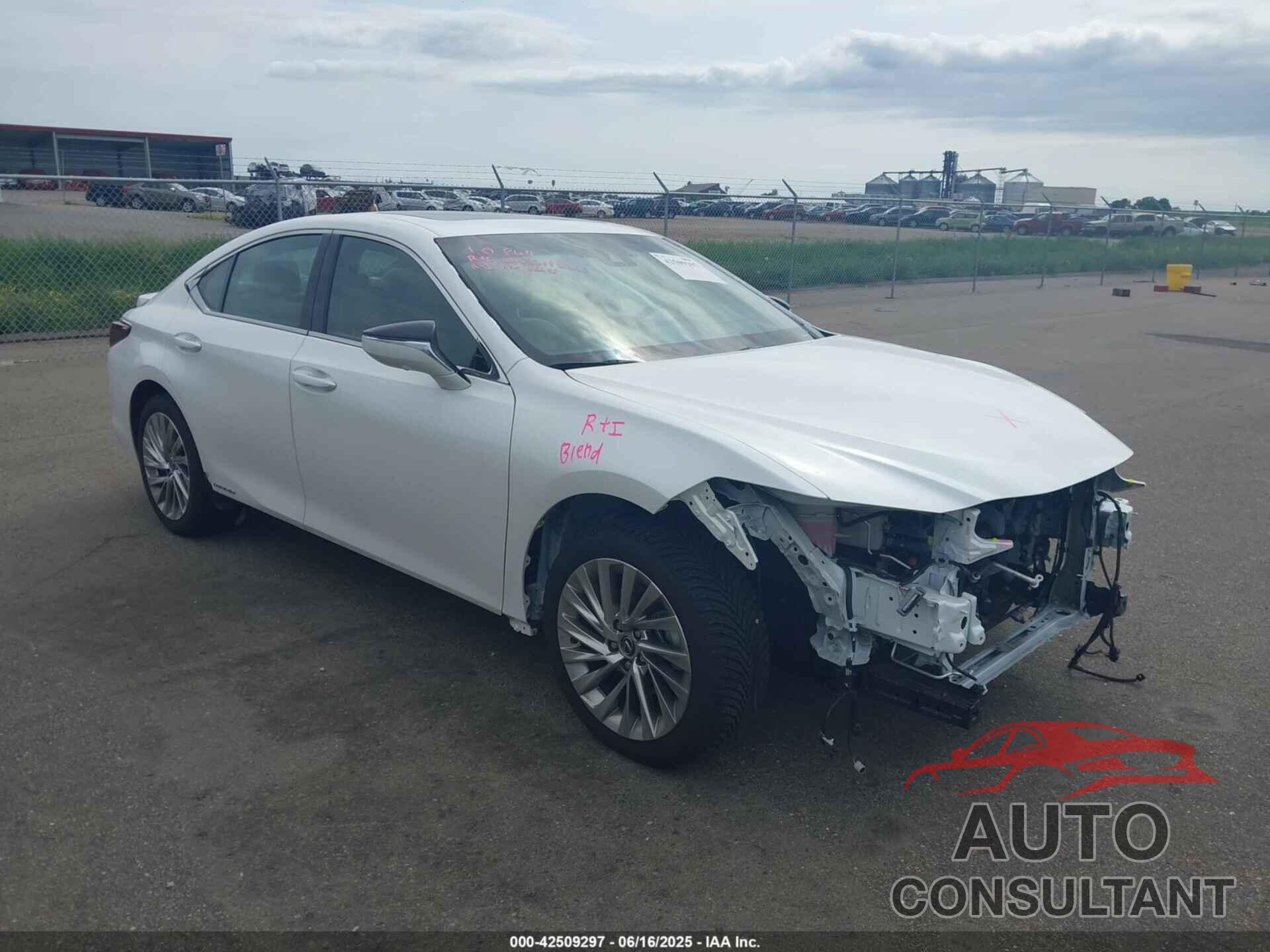 LEXUS ES 300H 2019 - 58AB21B11KU003147