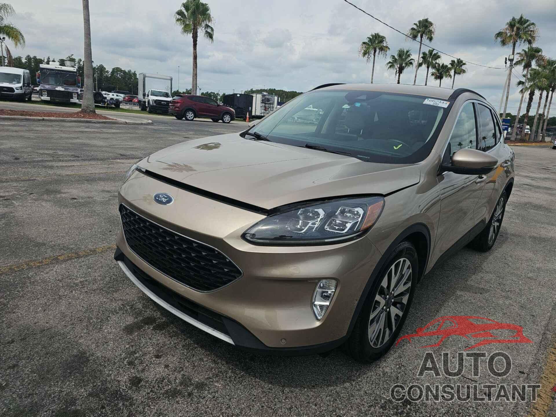 FORD ESCAPE 2020 - 1FMCU0DZ8LUC01986