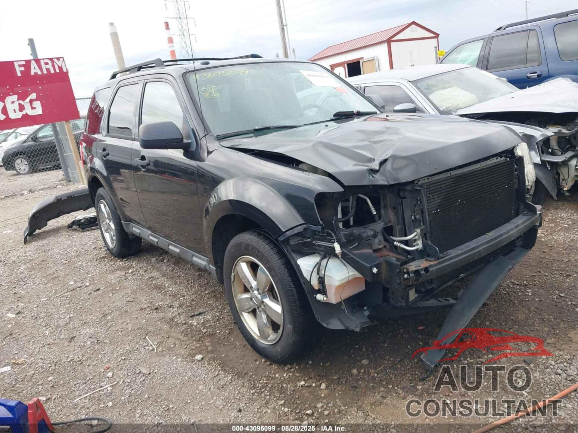 FORD ESCAPE 2011 - 1FMCU9D71BKC61699