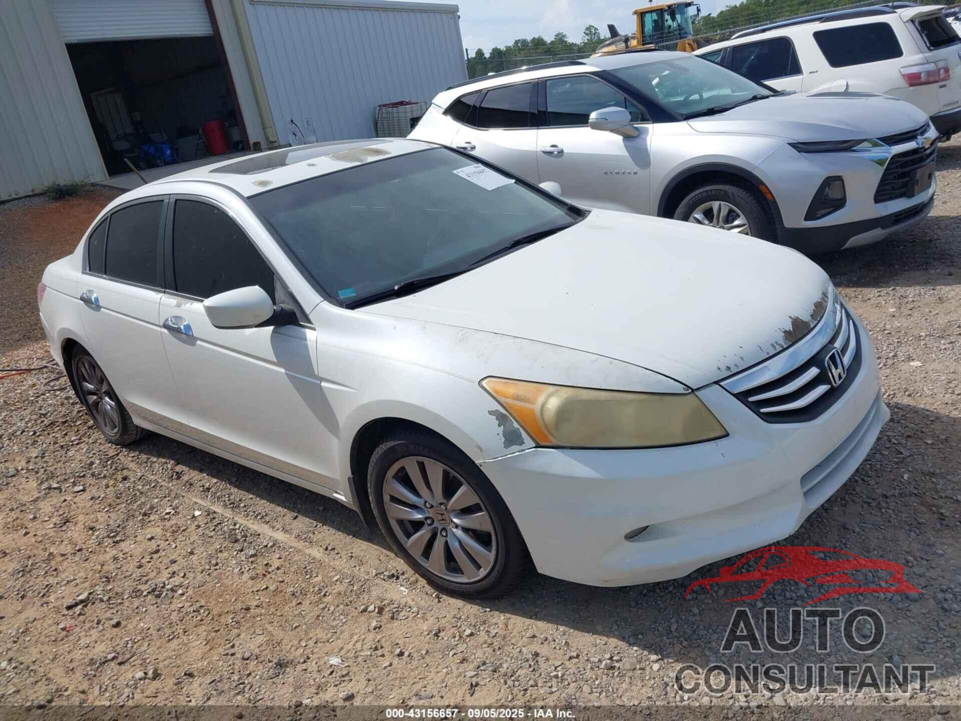 HONDA ACCORD 2011 - 5KBCP3F80BB004529