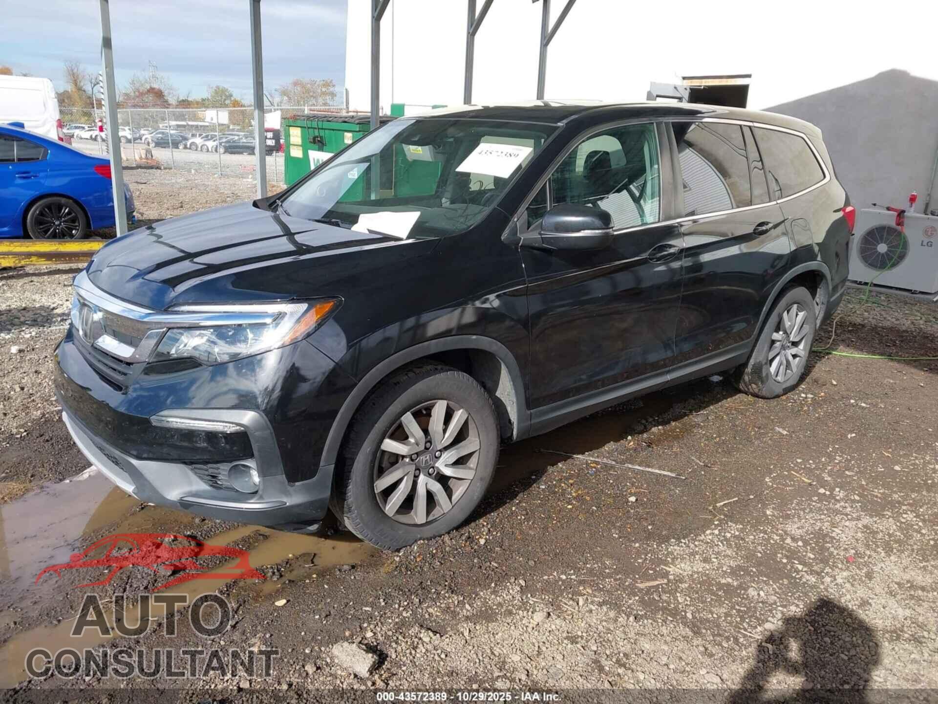 HONDA PILOT 2019 - 5FNYF6H55KB014159