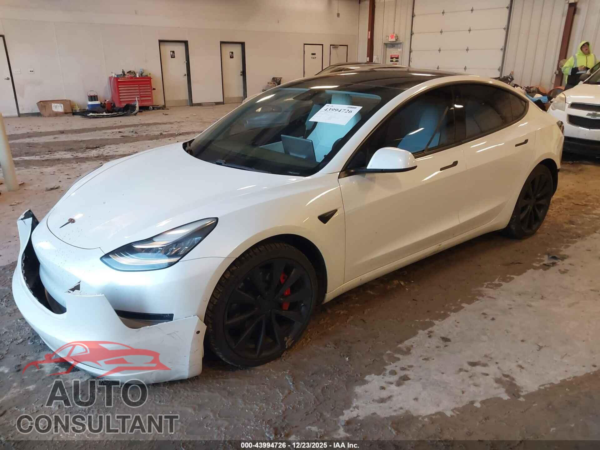 TESLA MODEL 3 2019 - 5YJ3E1EBXKF408749
