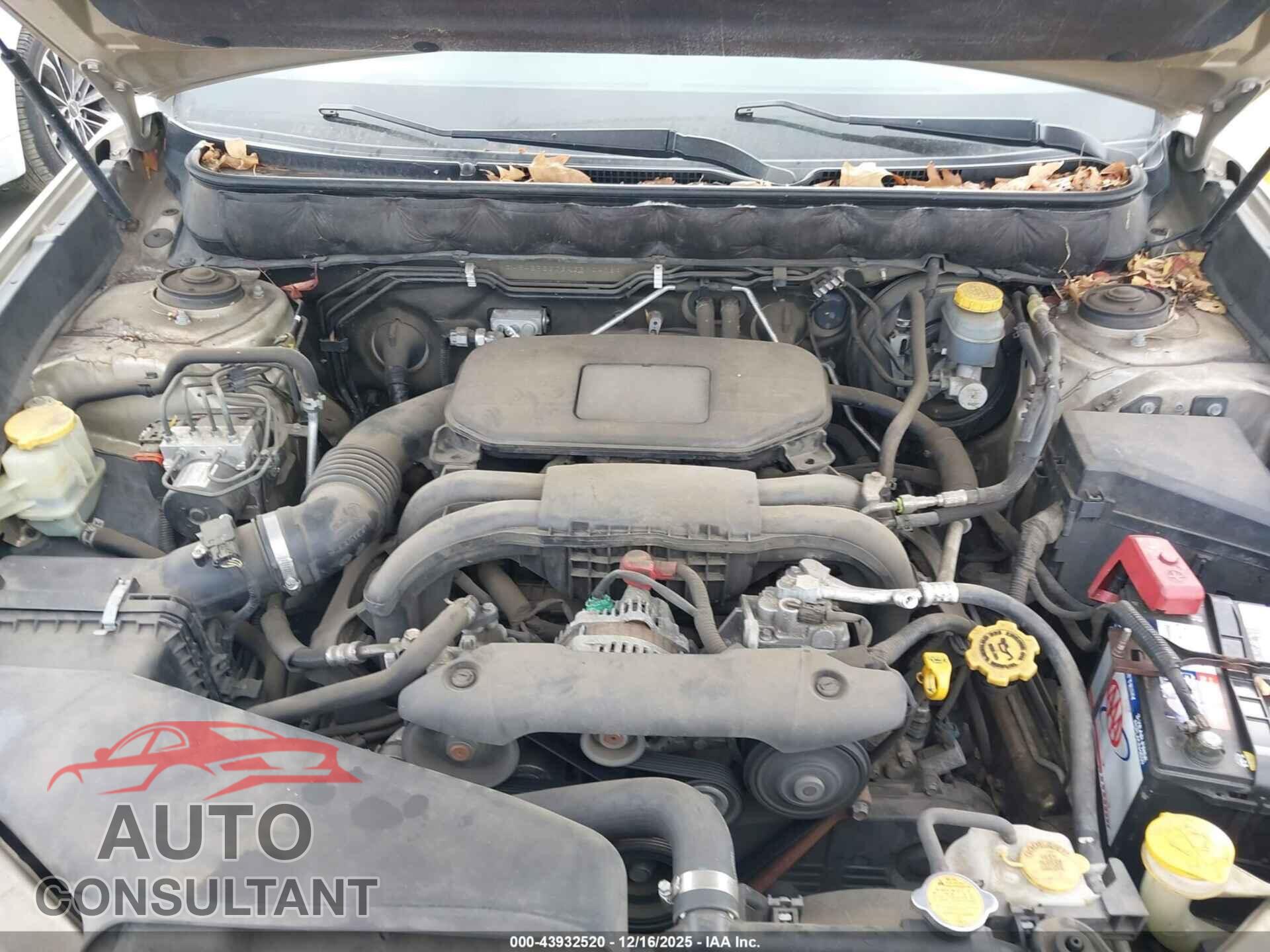 SUBARU OUTBACK 2010 - 4S4BRBGC8A3310418