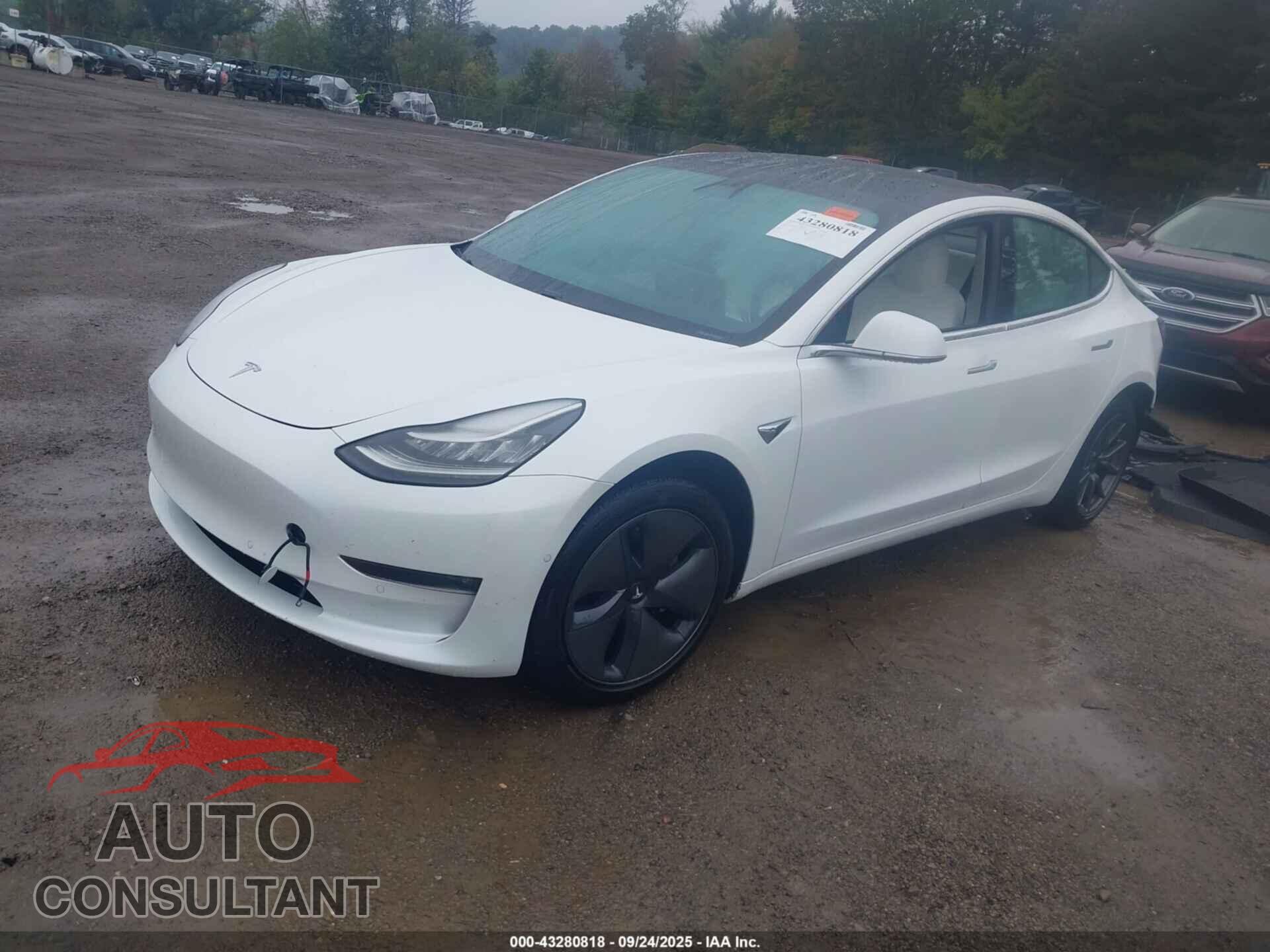 TESLA MODEL 3 2019 - 5YJ3E1EB0KF494508