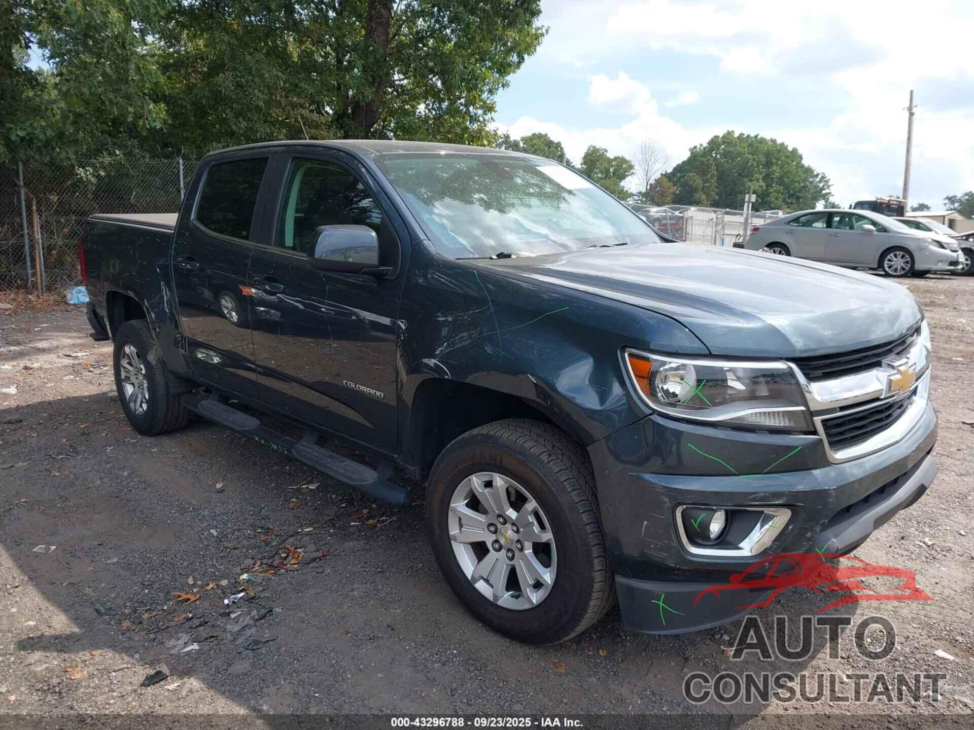 CHEVROLET COLORADO 2019 - 1GCGSCEN0K1206804