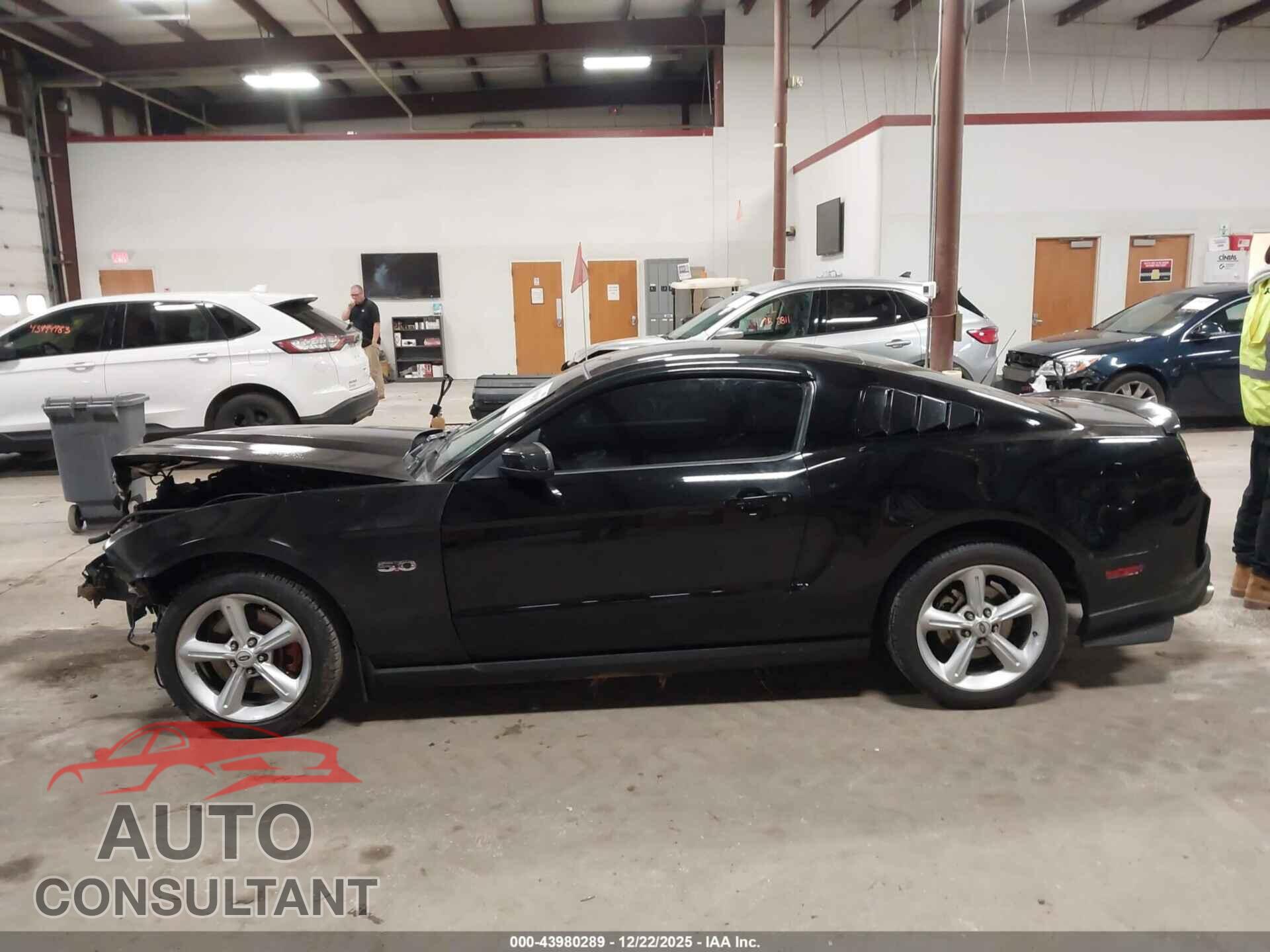 FORD MUSTANG 2011 - 1ZVBP8CF8B5146961