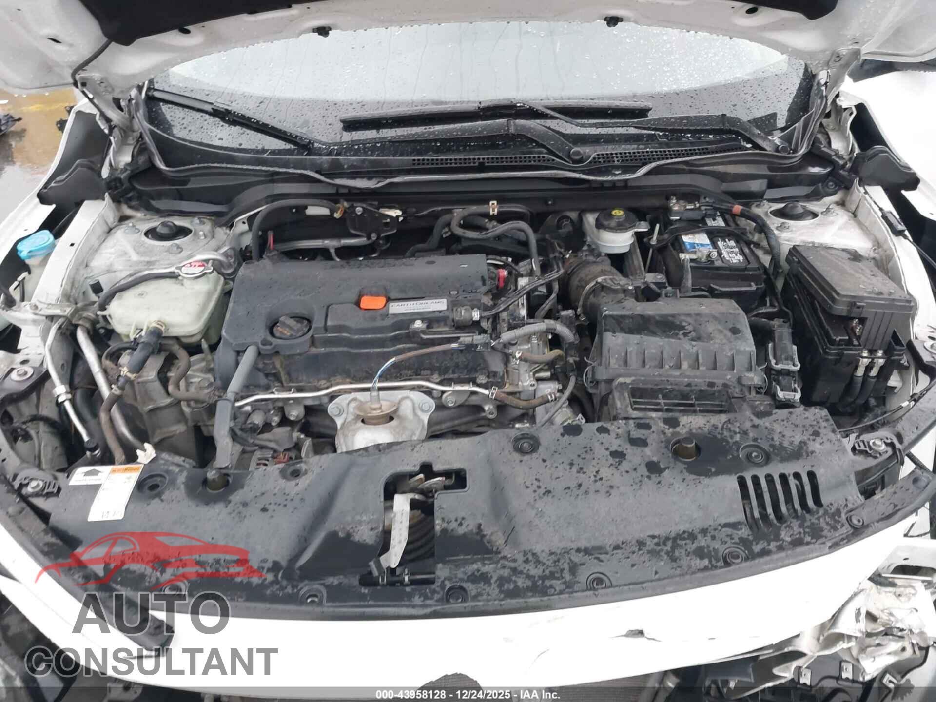 HONDA CIVIC 2017 - 2HGFC2F73HH565644