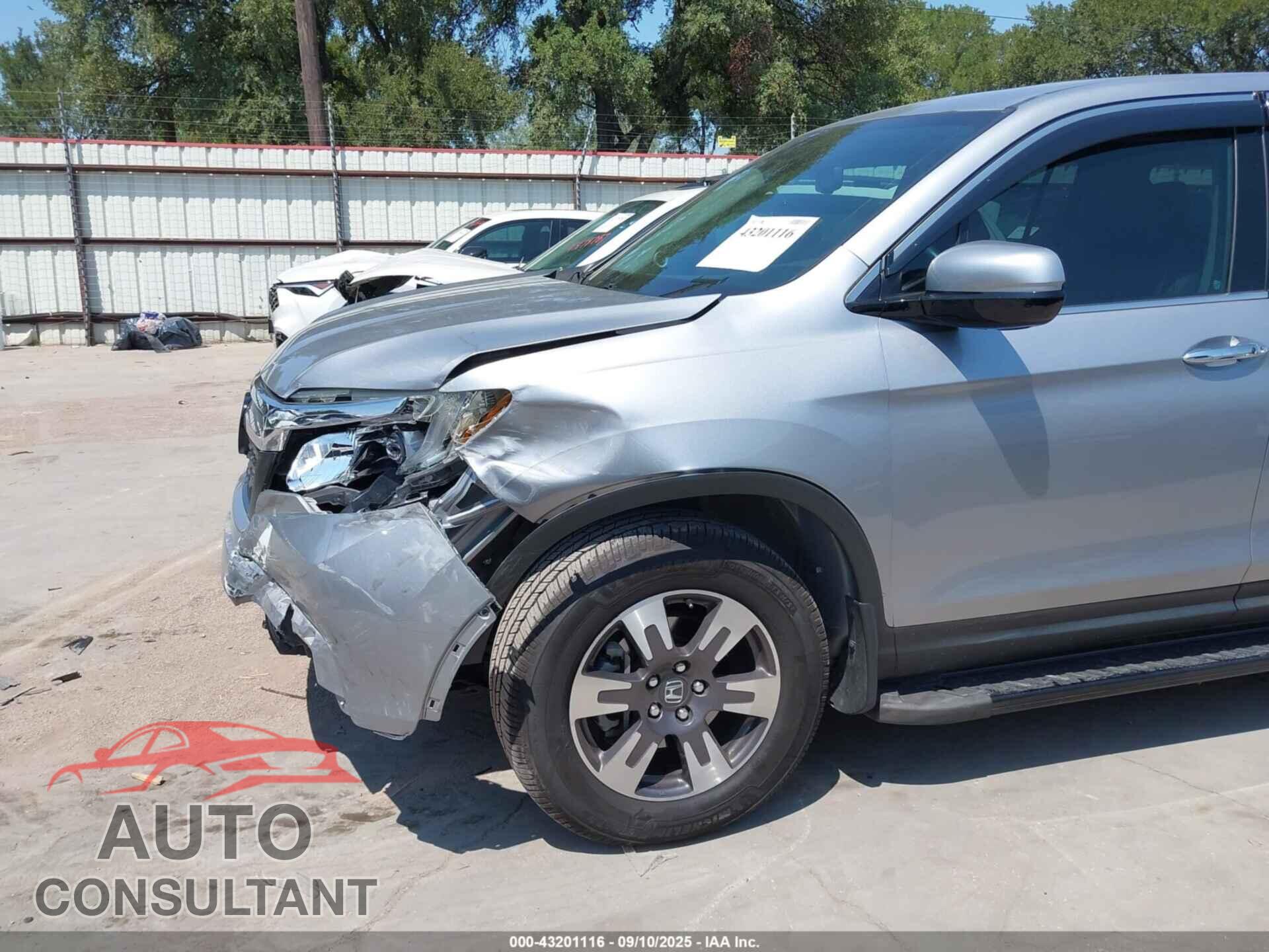 HONDA RIDGELINE 2019 - 5FPYK3F74KB005412