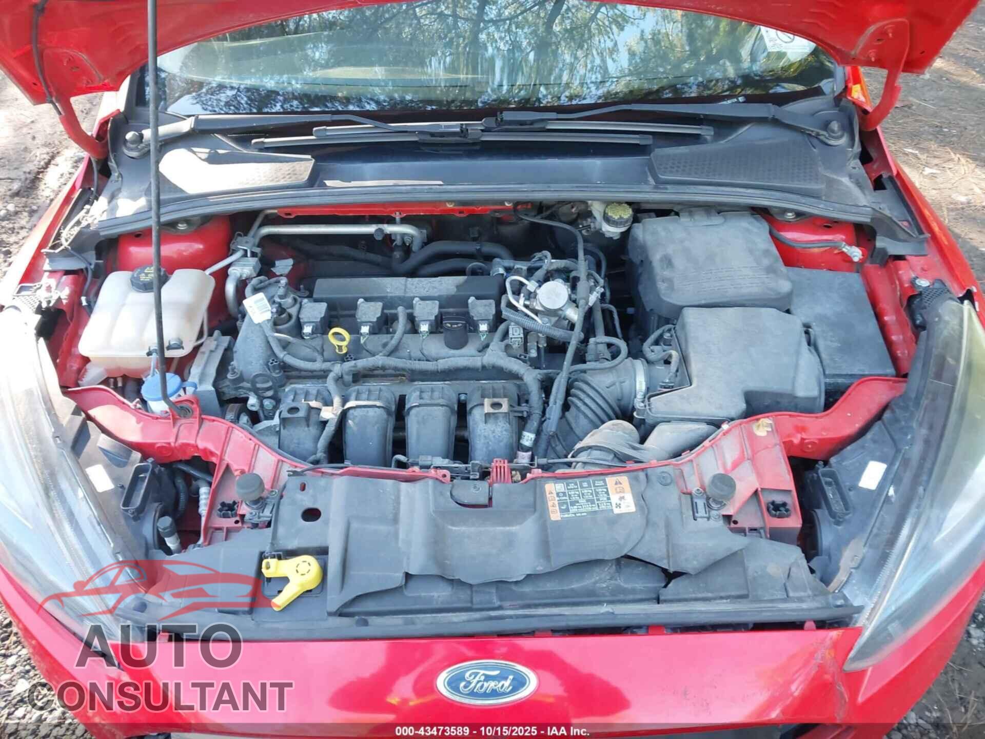FORD FOCUS 2016 - 1FADP3K22GL357174