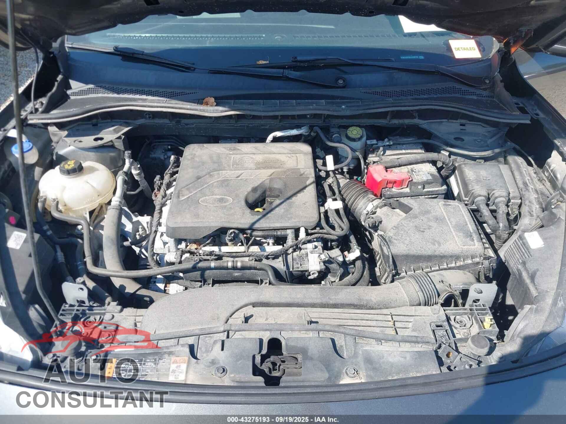 FORD ESCAPE 2020 - 1FMCU0F66LUA08755