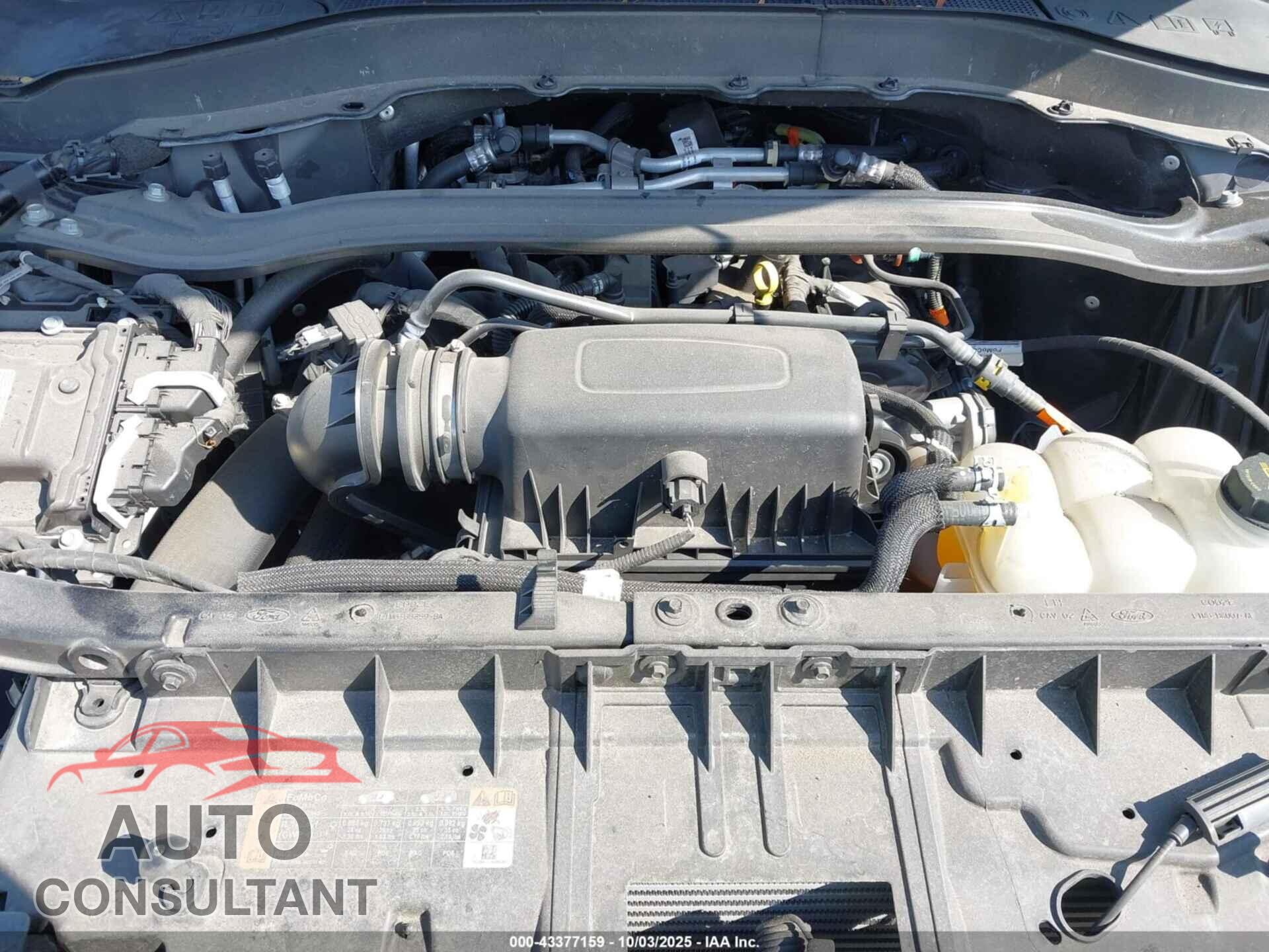 FORD EXPLORER 2022 - 1FMSK8FH9NGB32988