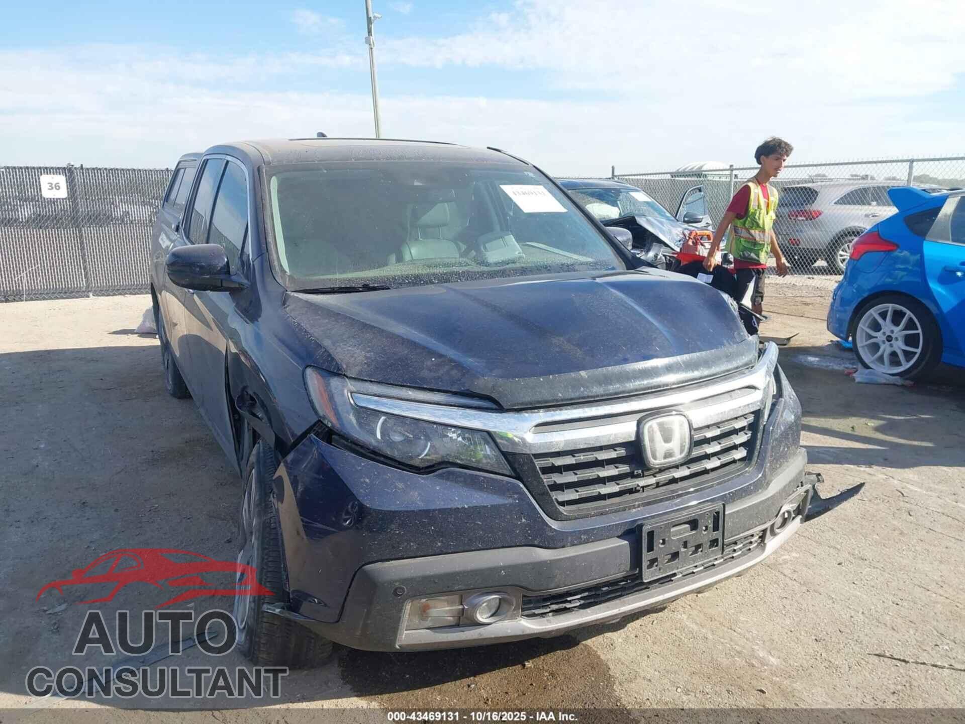 HONDA RIDGELINE 2019 - 5FPYK3F74KB001294