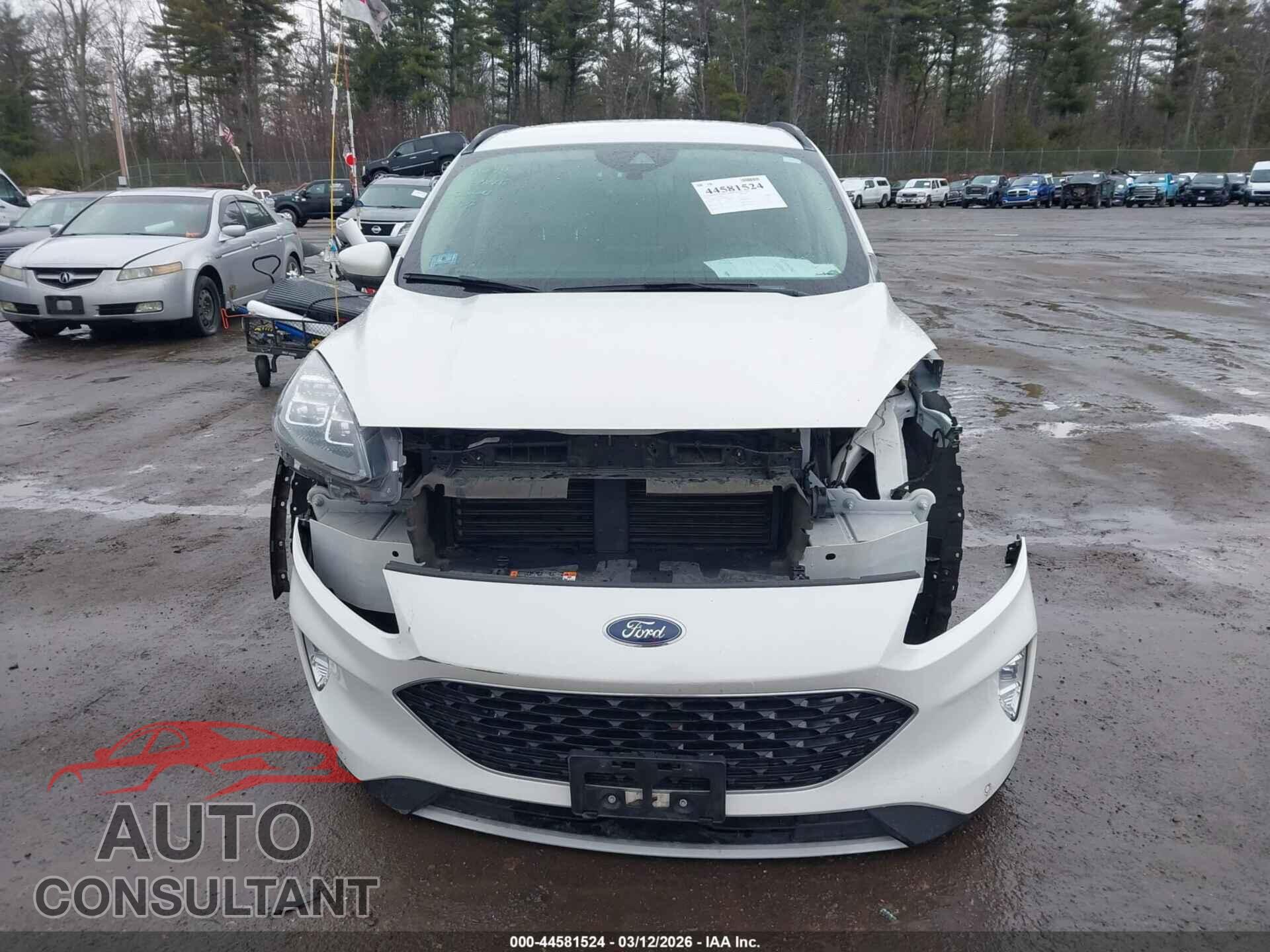 FORD ESCAPE 2020 - 1FMCU9J9XLUA88969