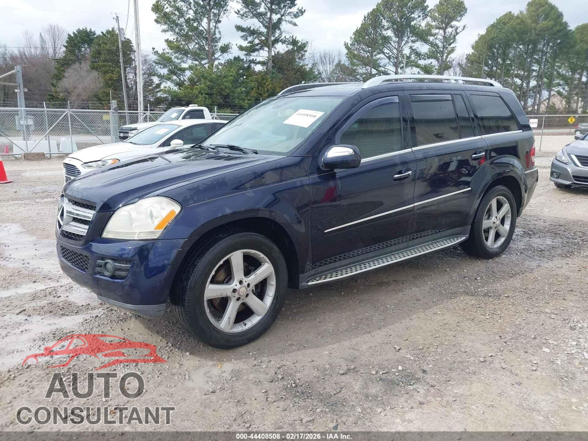 MERCEDES-BENZ GL 450 2009 - 4JGBF71E39A449489