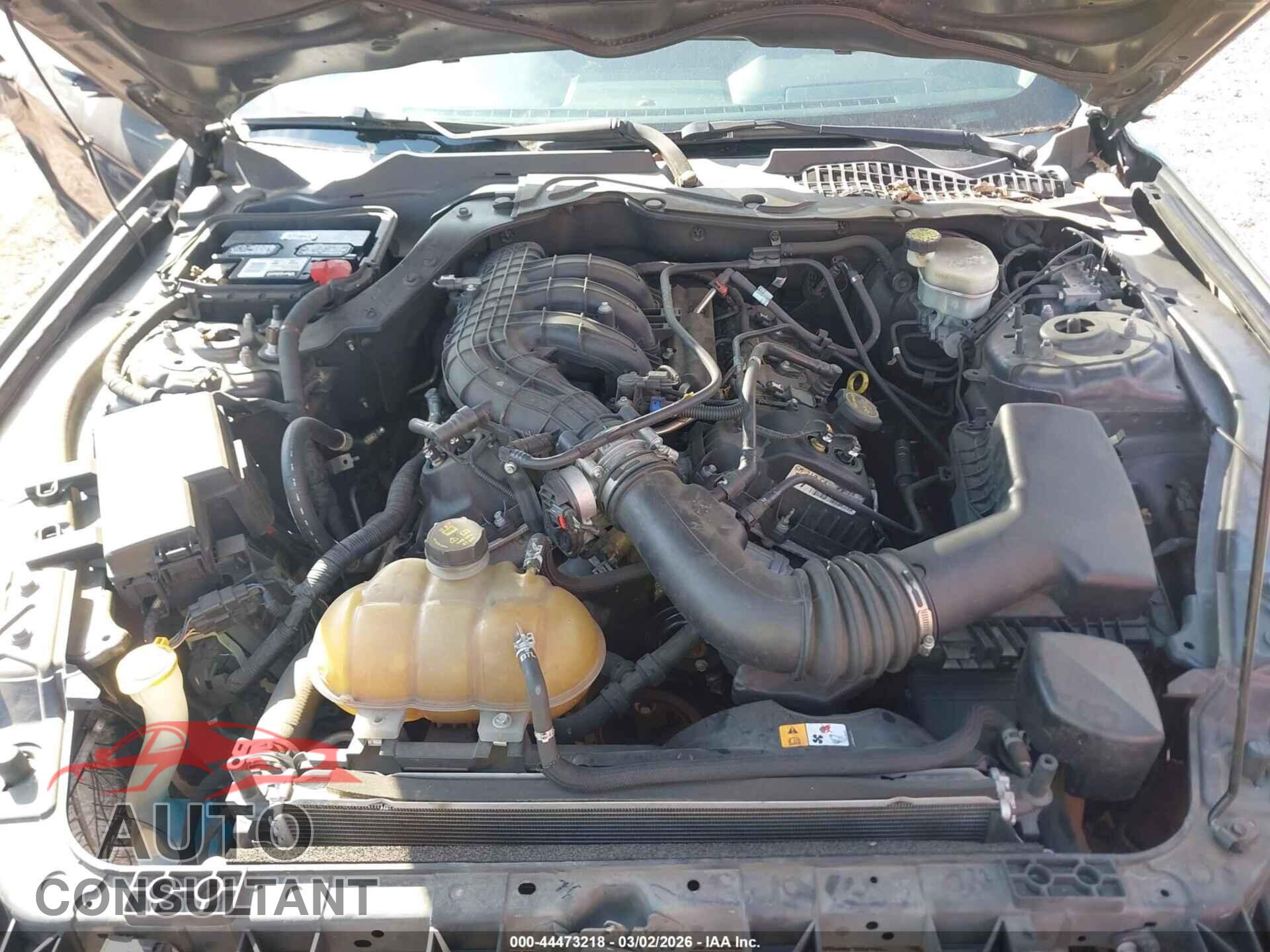 FORD MUSTANG 2017 - 1FA6P8AM7H5263046
