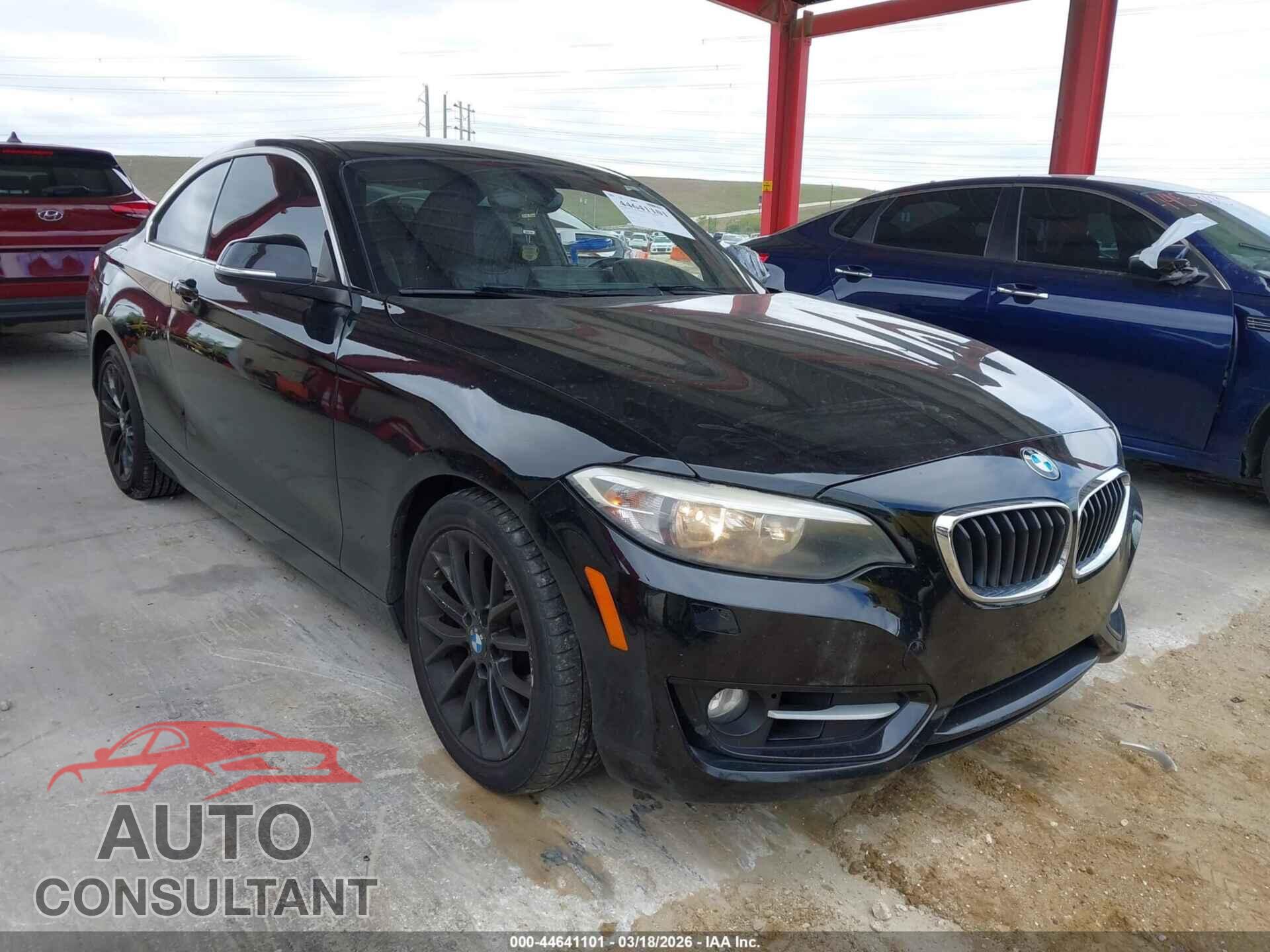 BMW 228I 2016 - WBA1G9C50GV598354