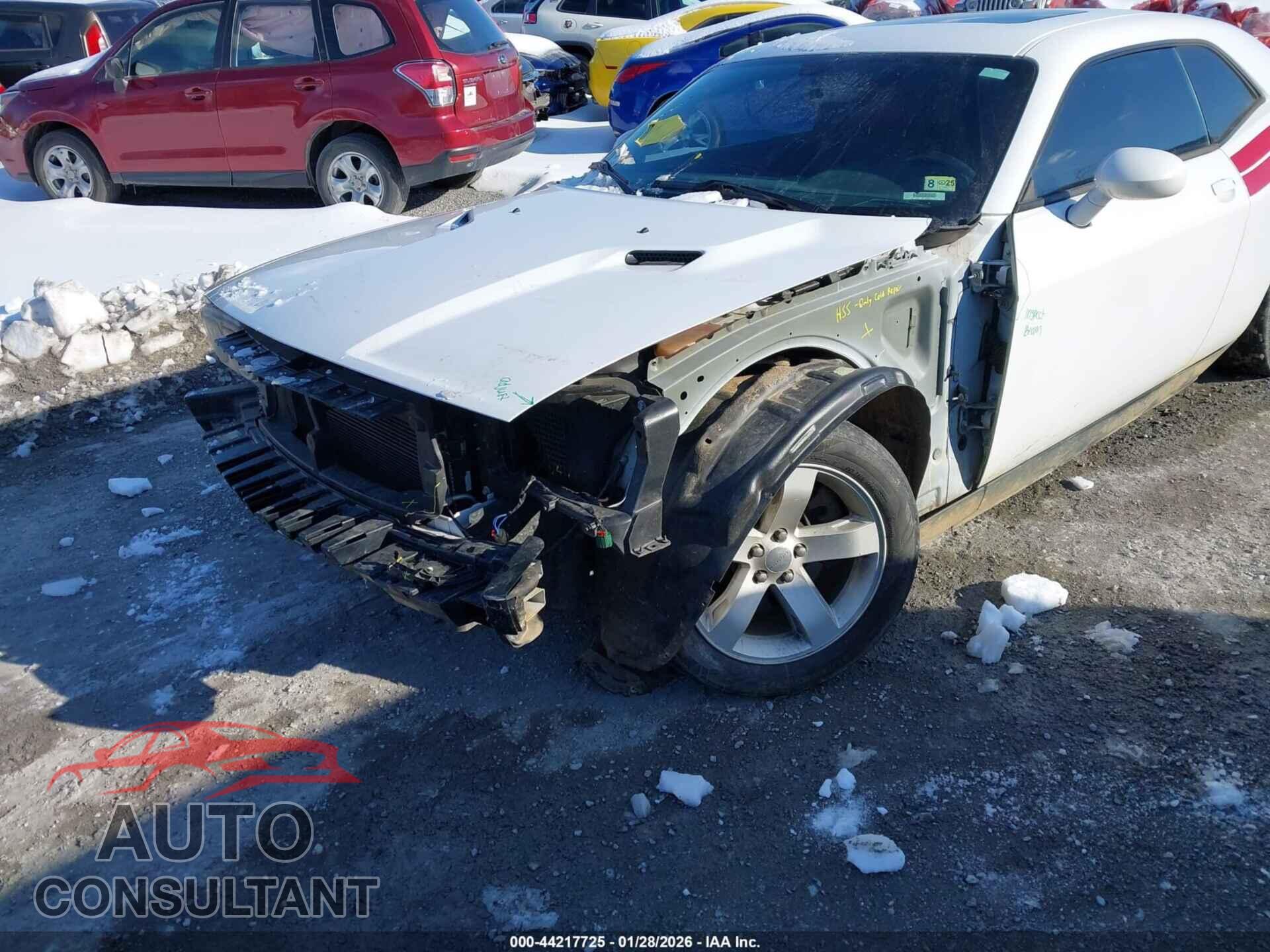 DODGE CHALLENGER 2013 - 2C3CDYBTXDH650886