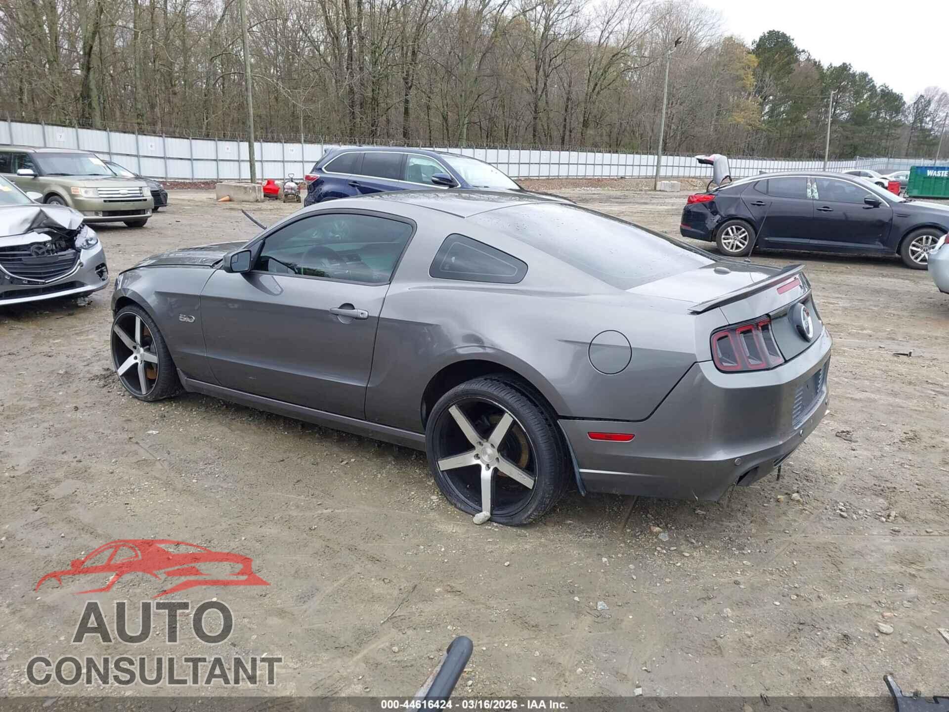 FORD MUSTANG 2013 - 1ZVBP8CF9D5229155