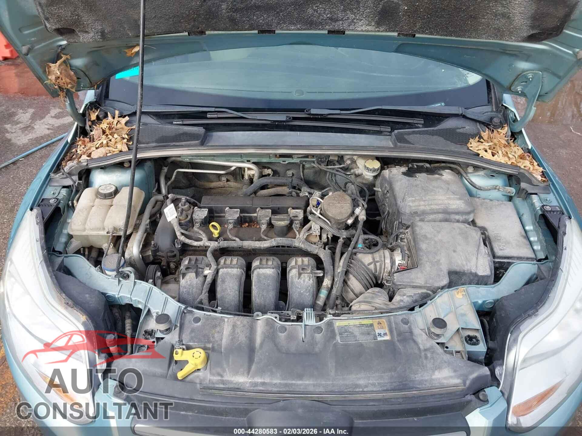 FORD FOCUS 2012 - 1FAHP3K20CL355998