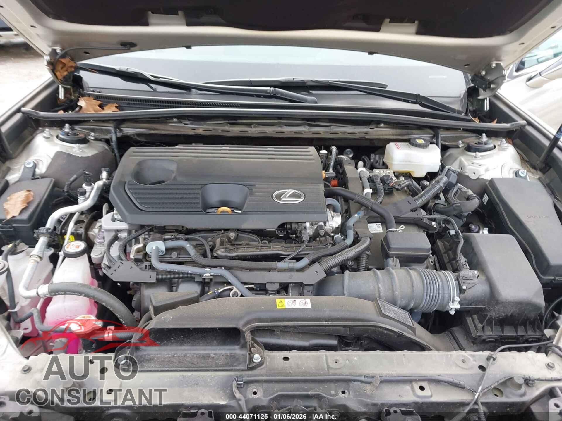 LEXUS ES 300H 2023 - 58ADA1C19PU033949