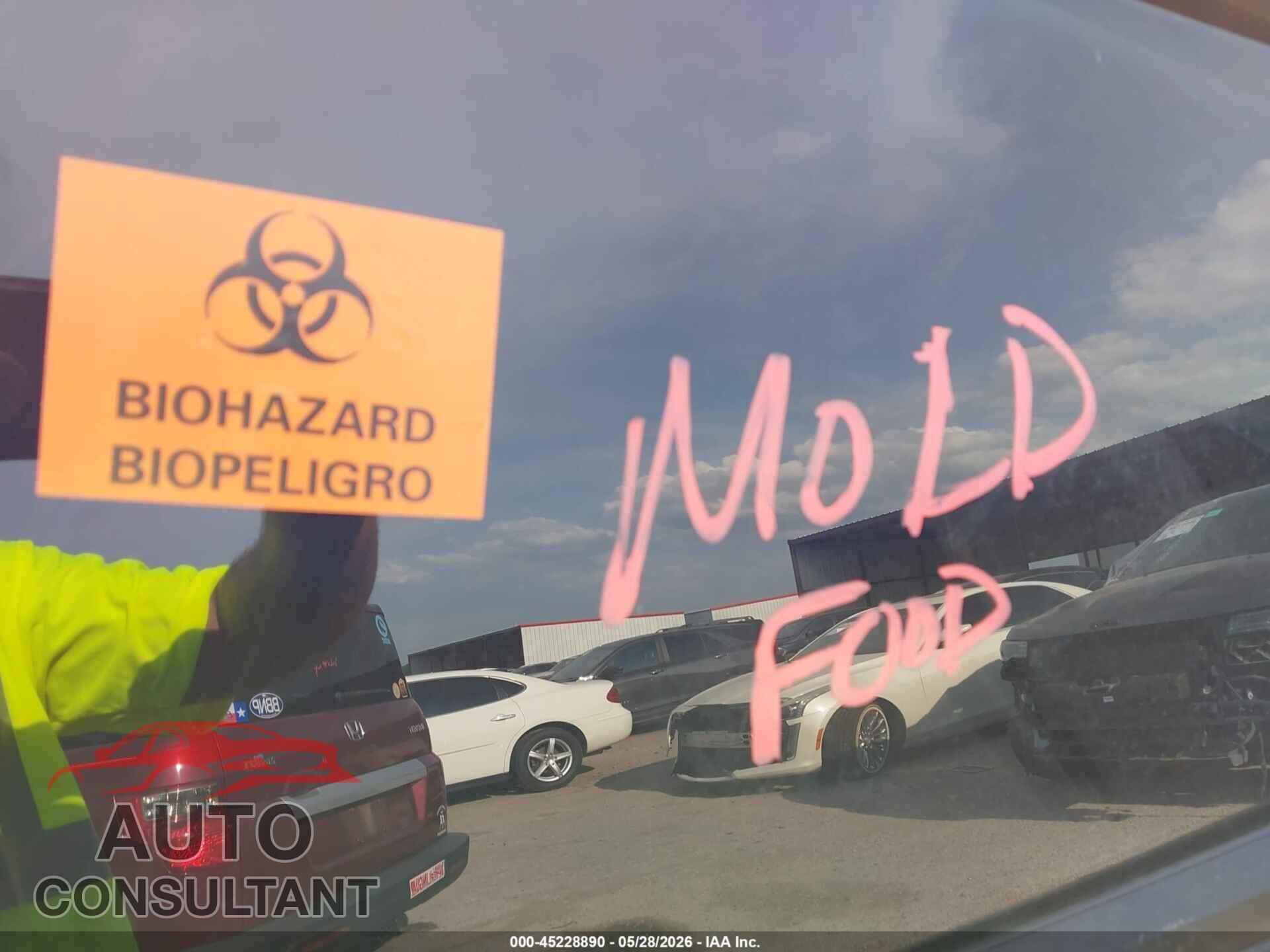 TESLA MODEL Y 2023 - 7SAYGDEFXPF802279
