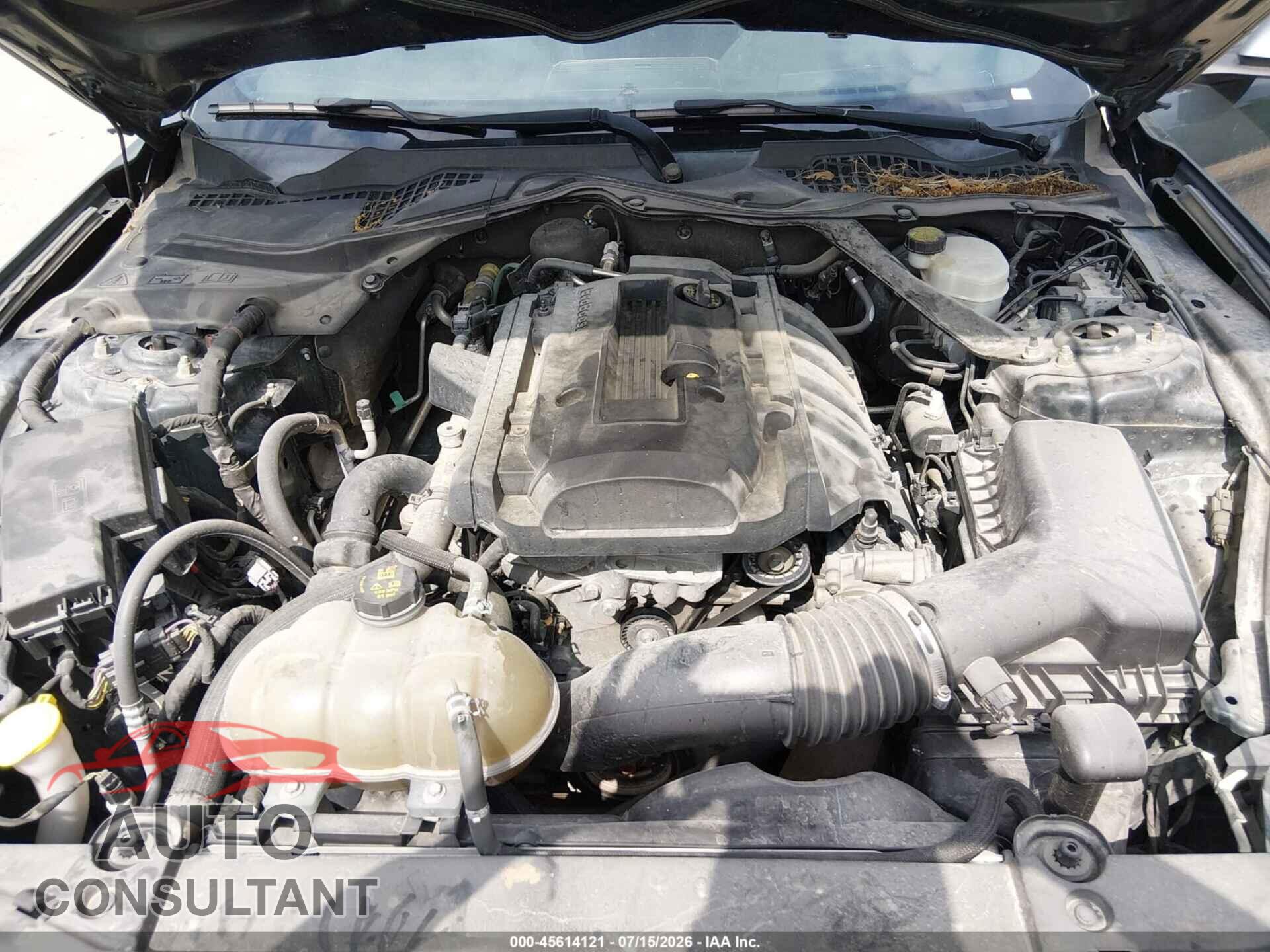 FORD MUSTANG 2015 - 1FA6P8TH3F5343263