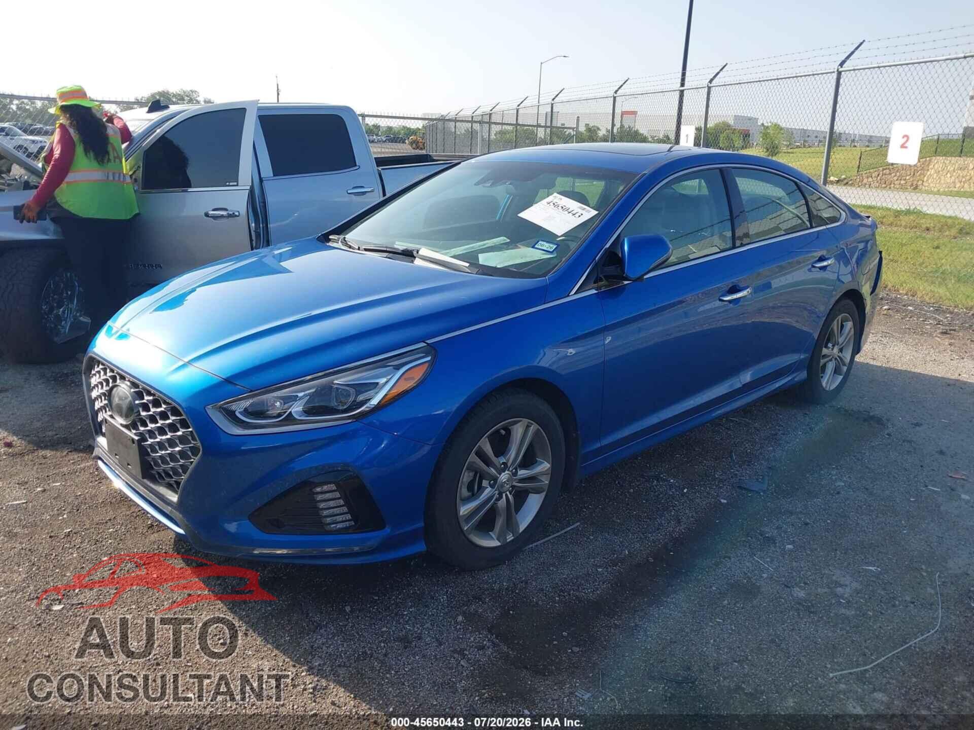 HYUNDAI SONATA 2019 - 5NPE34AF3KH784123