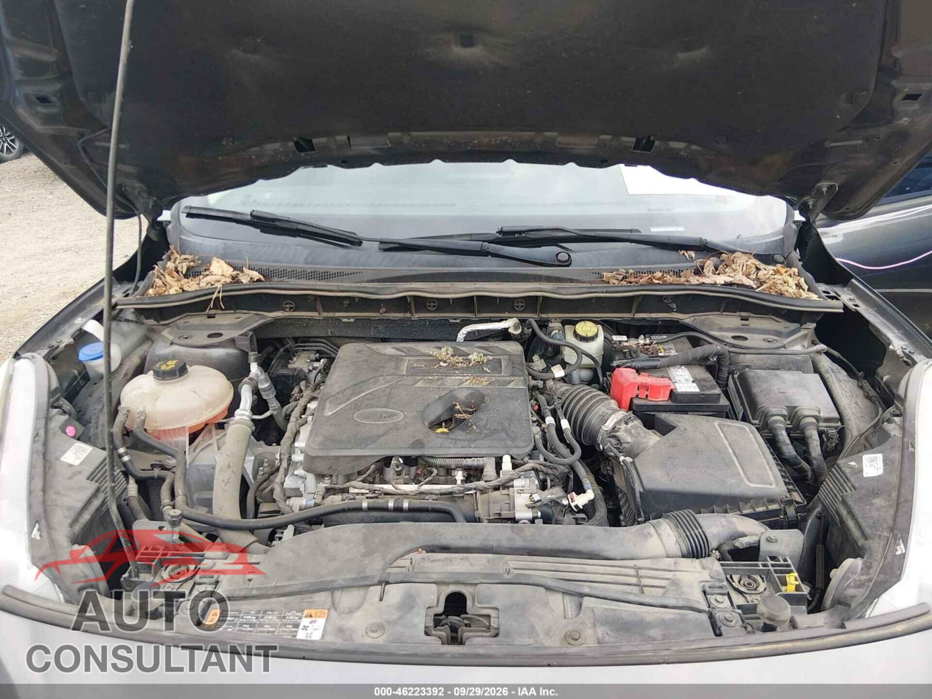 FORD ESCAPE 2020 - 1FMCU0F68LUA33611