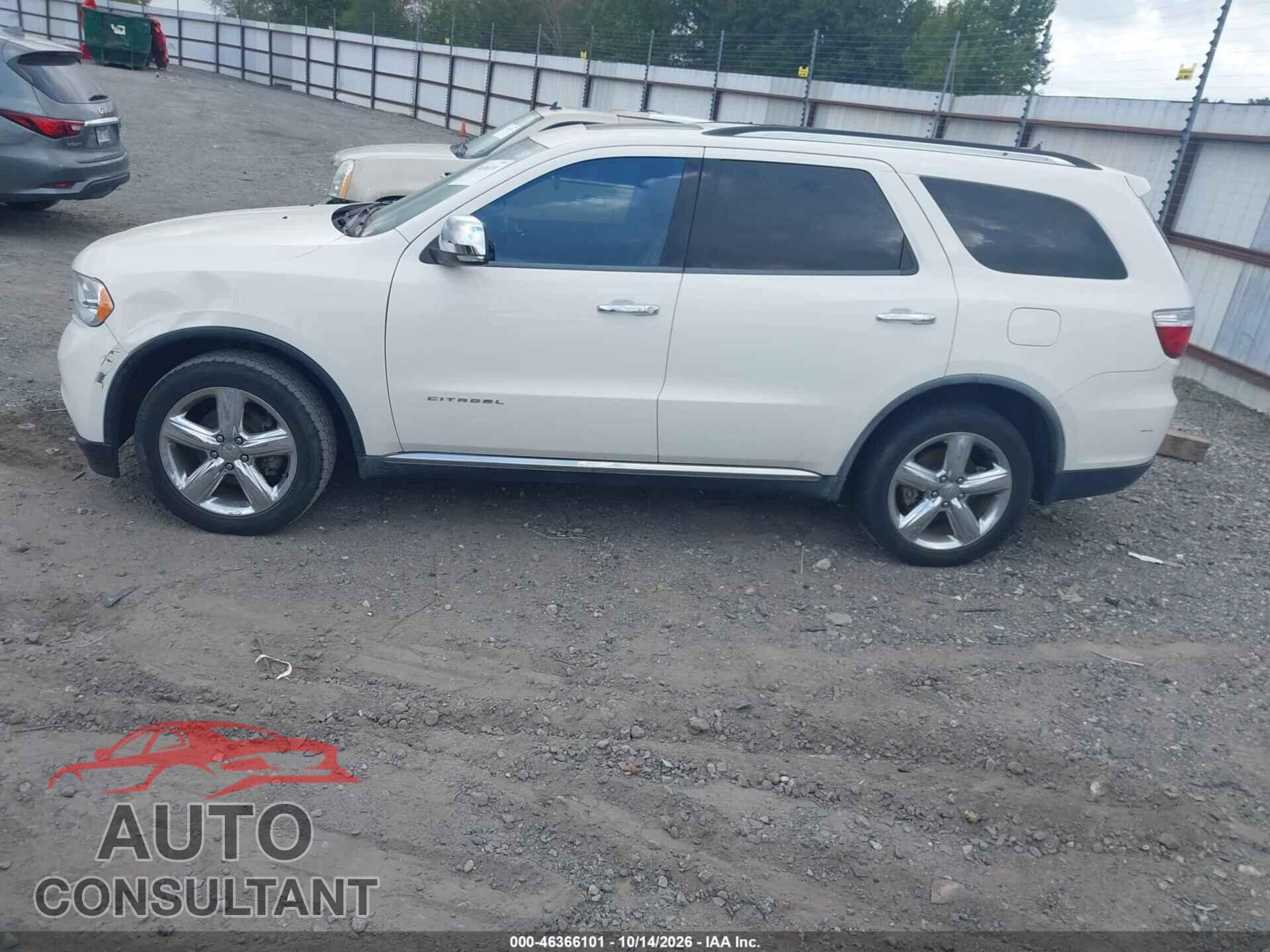 DODGE DURANGO 2011 - 1D4RD5GG7BC613619