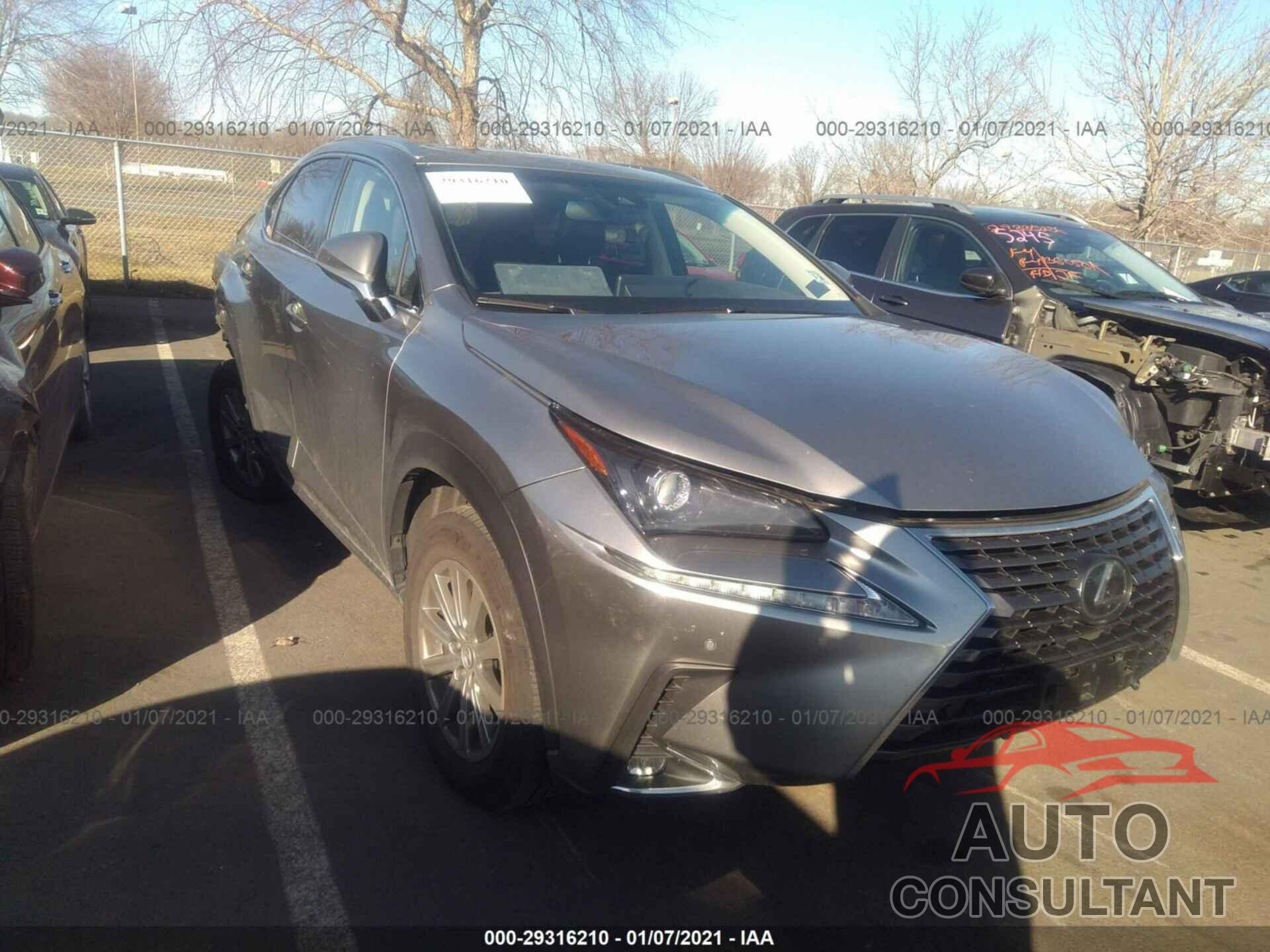 LEXUS NX 2019 - JTJBARBZ1K2203084