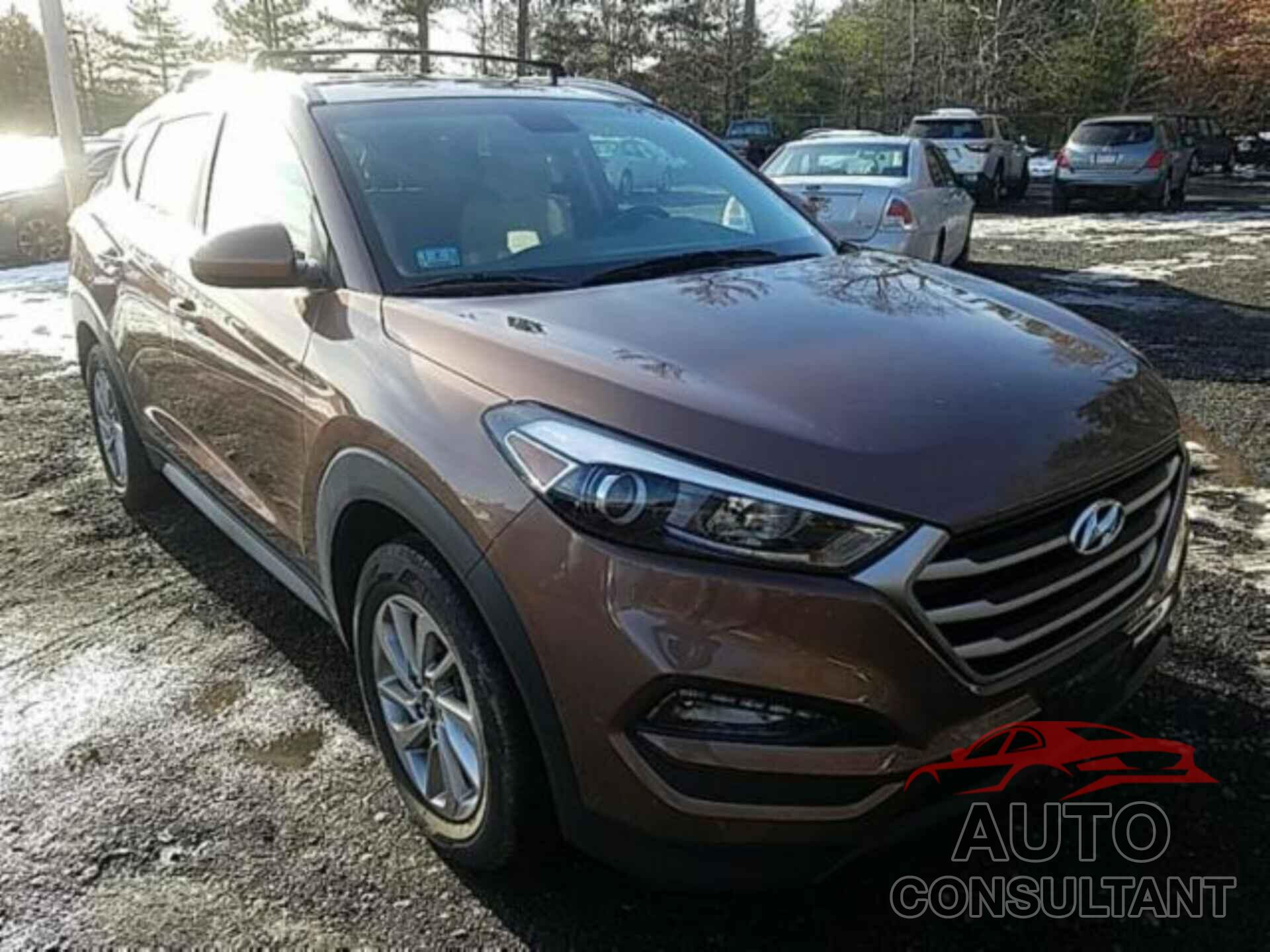 HYUNDAI TUCSON 2017 - KM8J3CA49HU455105