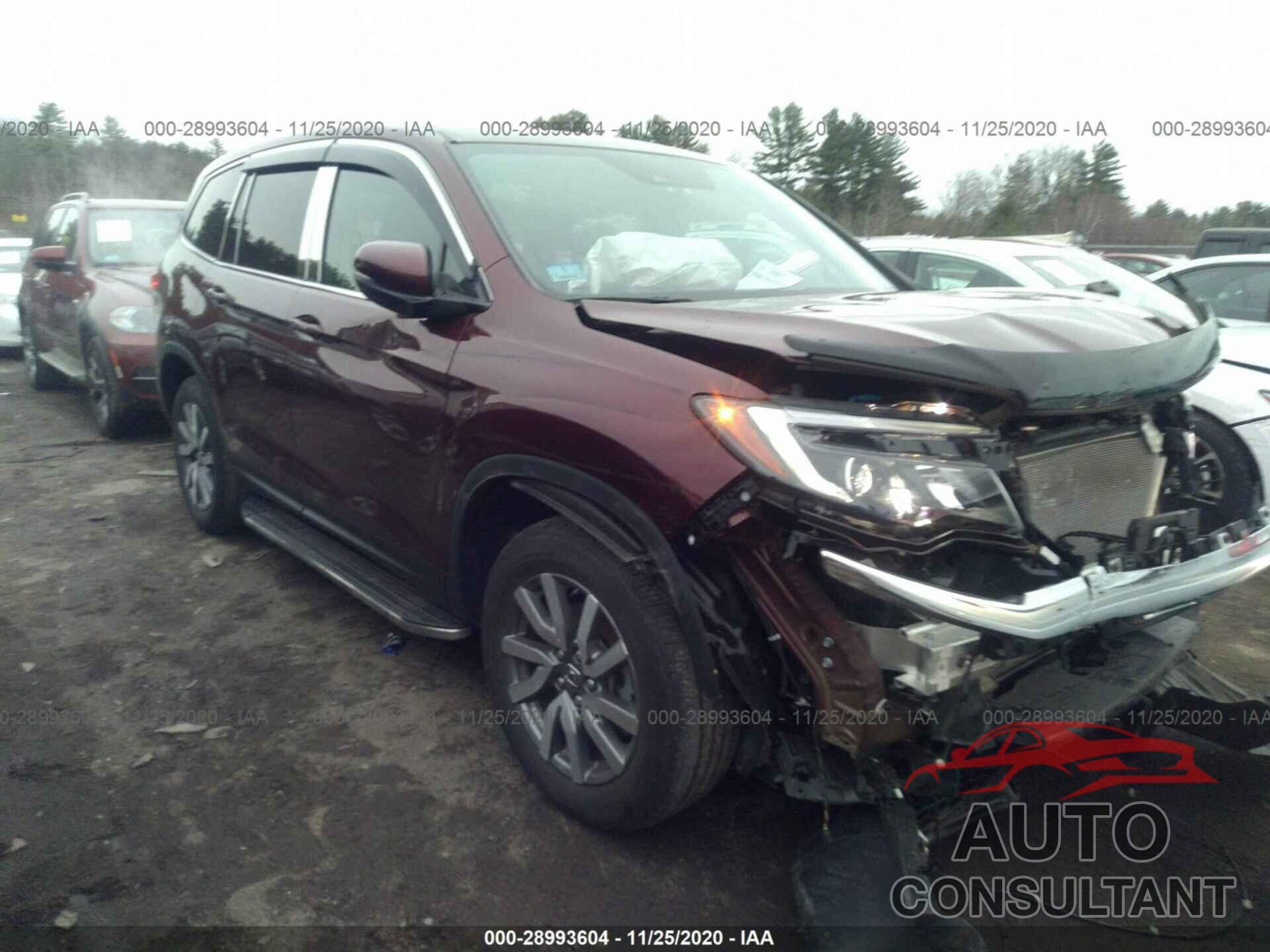 HONDA PILOT 2019 - 5FNYF6H47KB028992