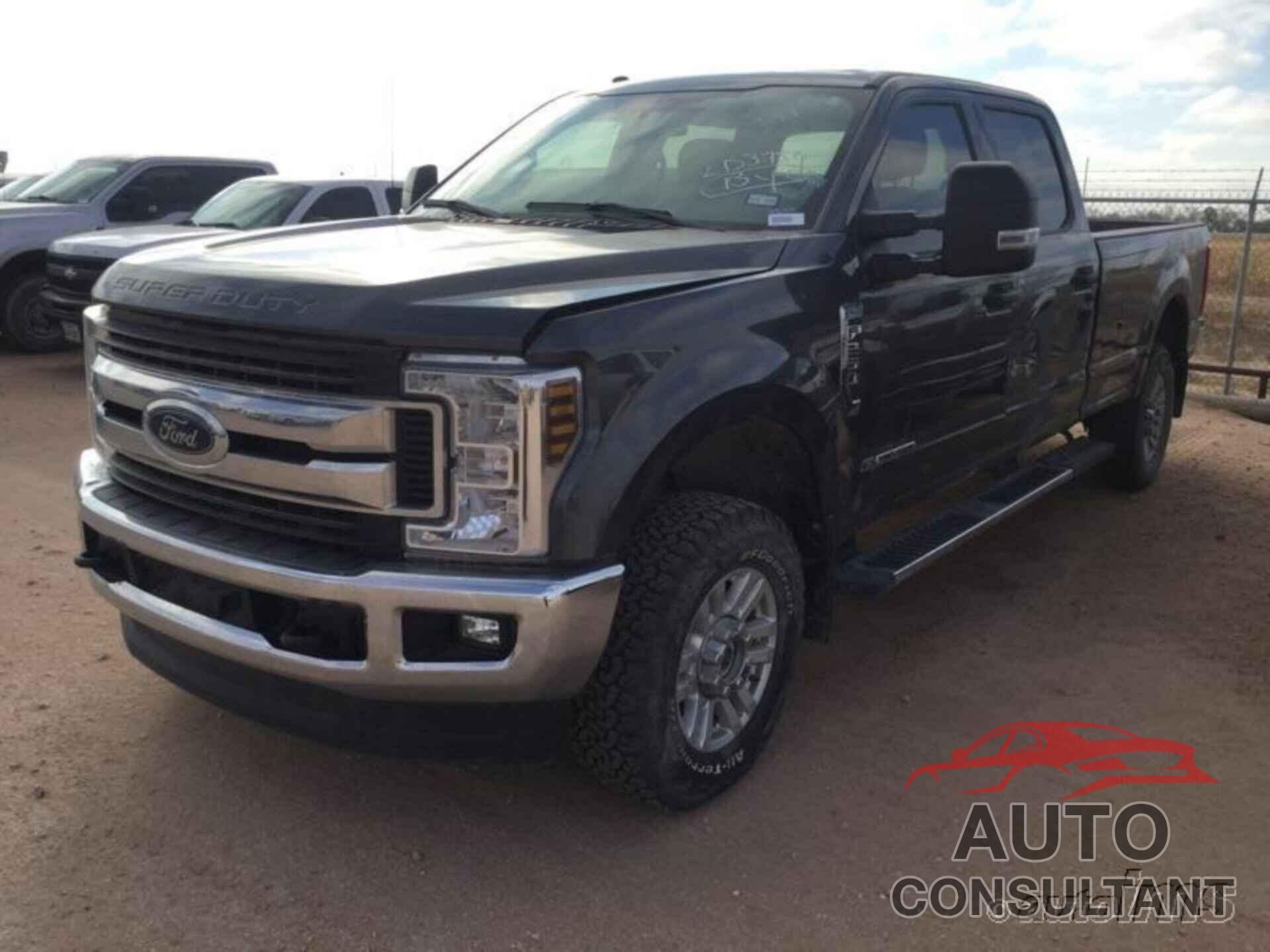 FORD SUPER DUTY F-250 SRW 2019 - 1FT7W2BT4KEC84013