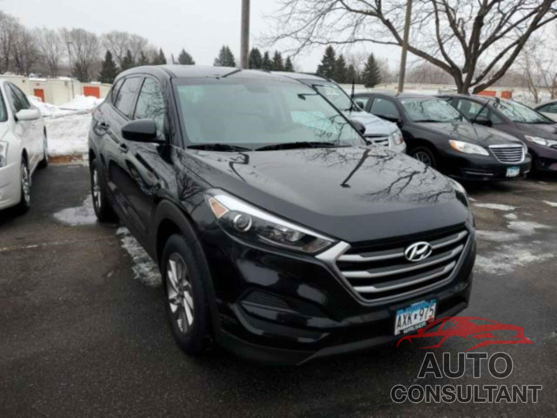 HYUNDAI TUCSON 2017 - KM8J23A41HU565665