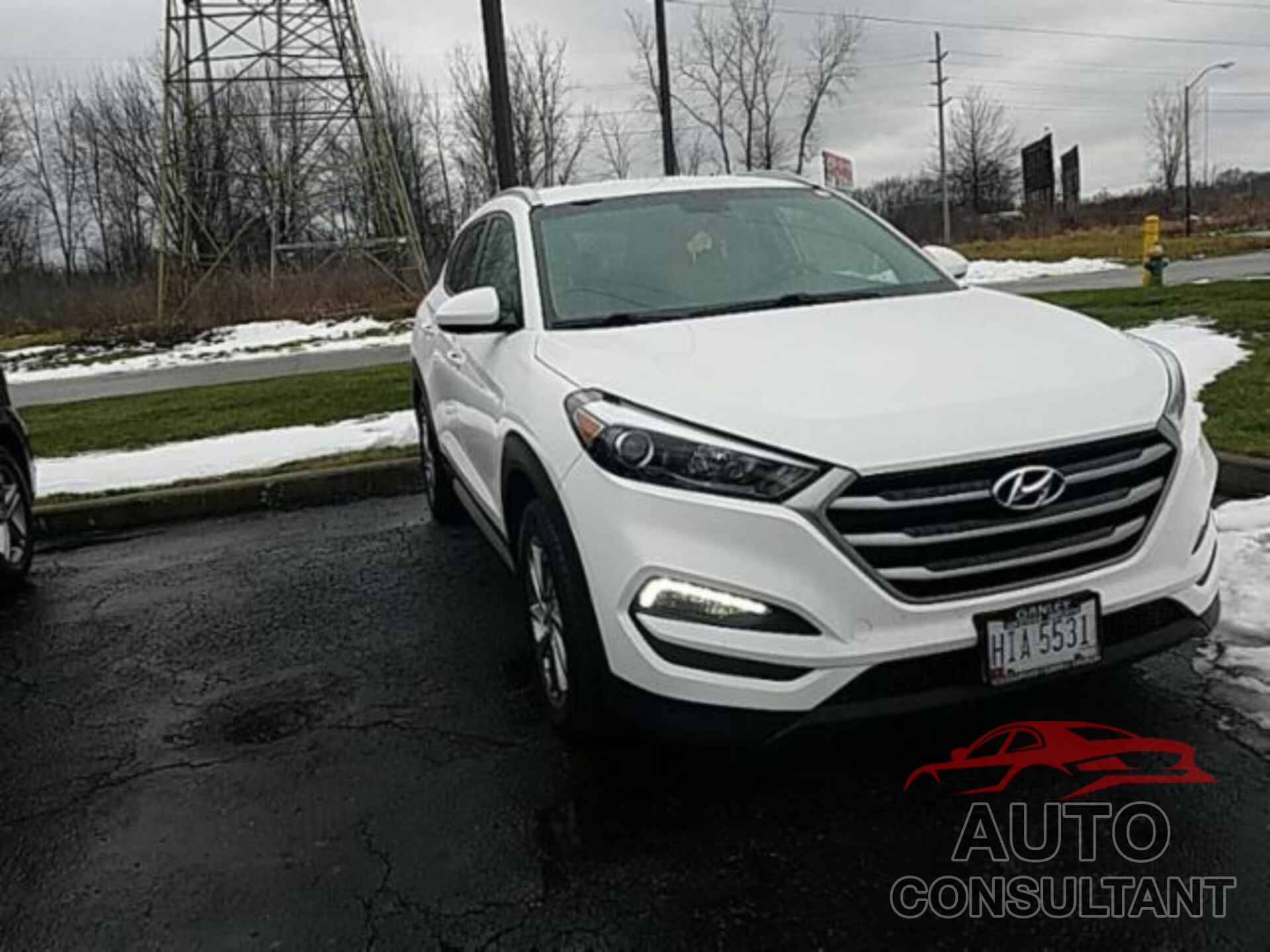 HYUNDAI TUCSON 2017 - KM8J33A43HU567348