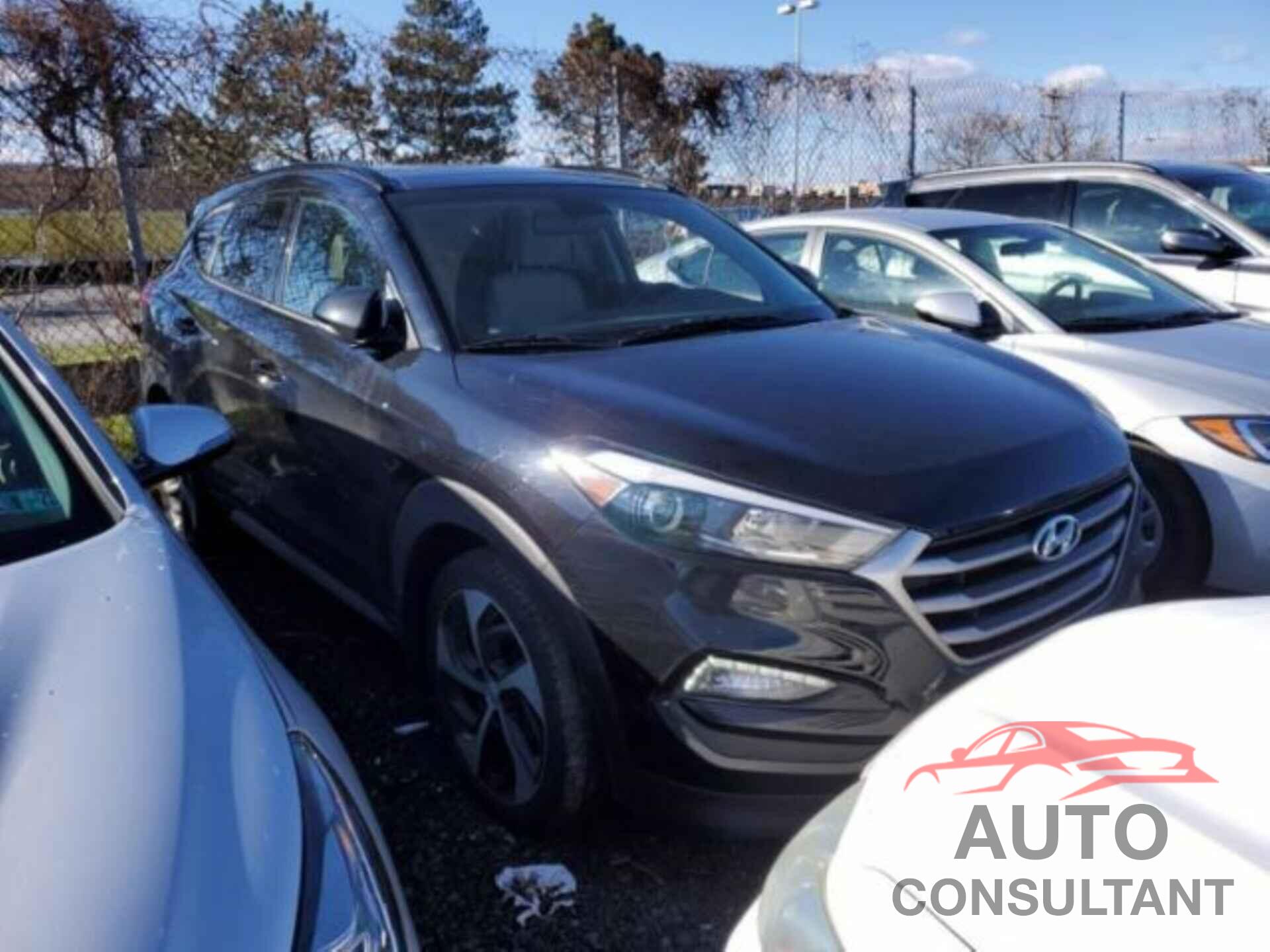 HYUNDAI TUCSON 2017 - KM8J3CA28HU569322