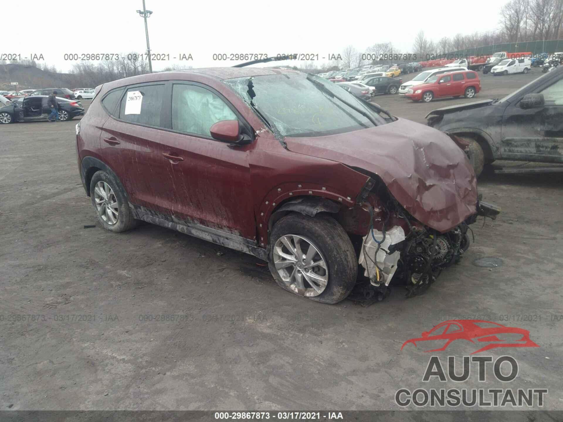 HYUNDAI TUCSON 2019 - KM8J2CA46KU047705