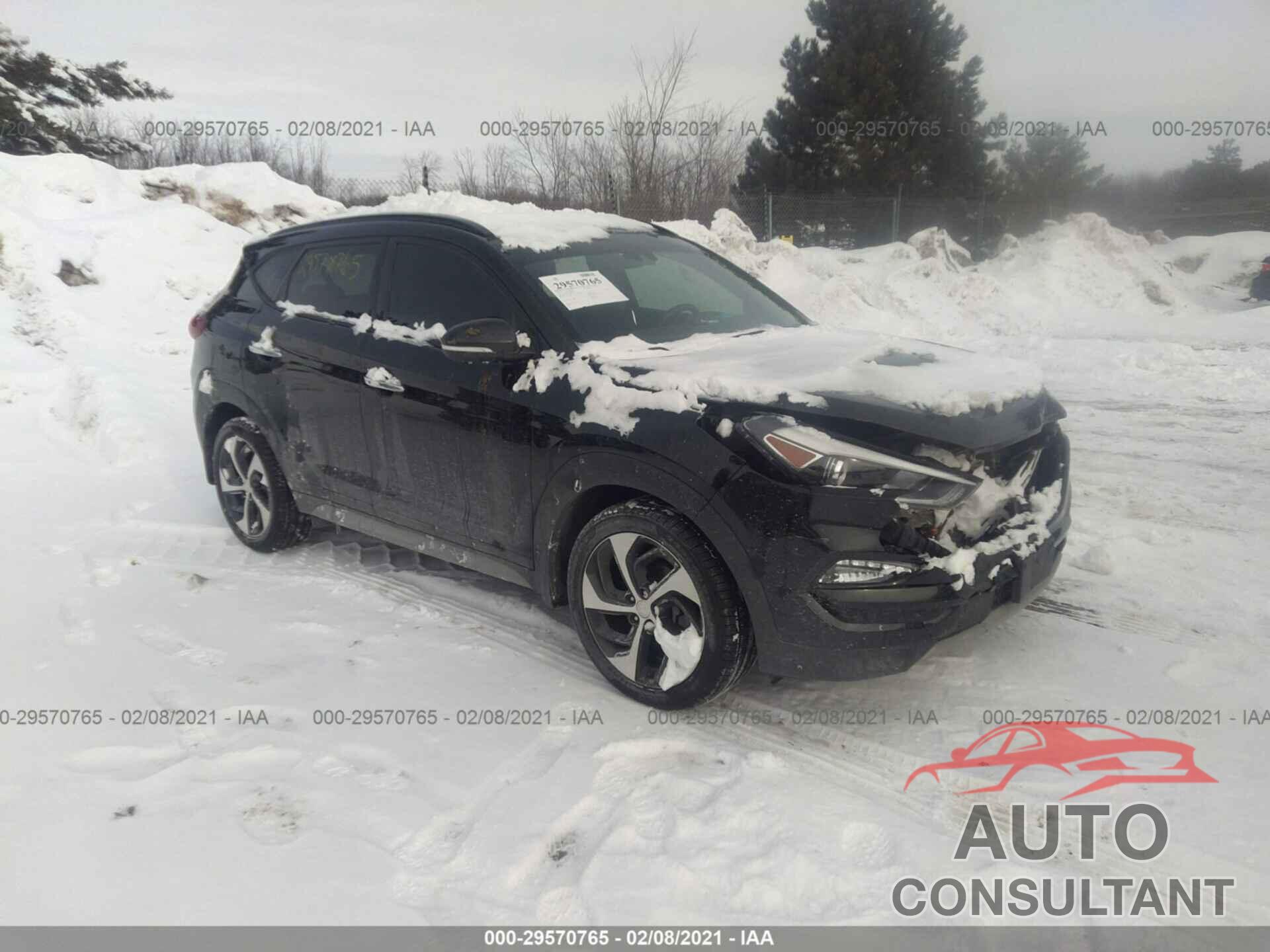 HYUNDAI TUCSON 2017 - KM8J3CA29HU596125