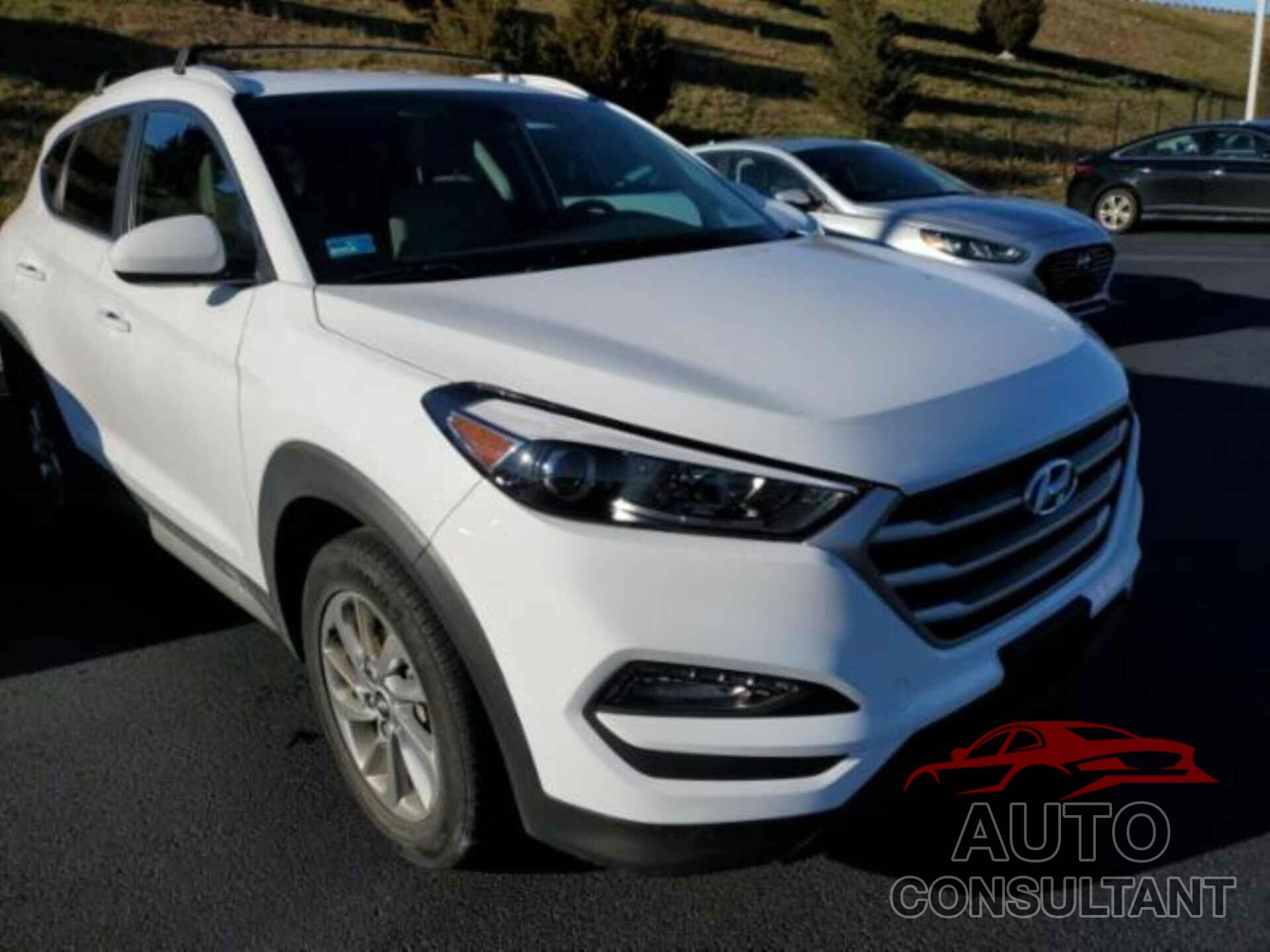HYUNDAI TUCSON 2017 - KM8J3CA43HU346963