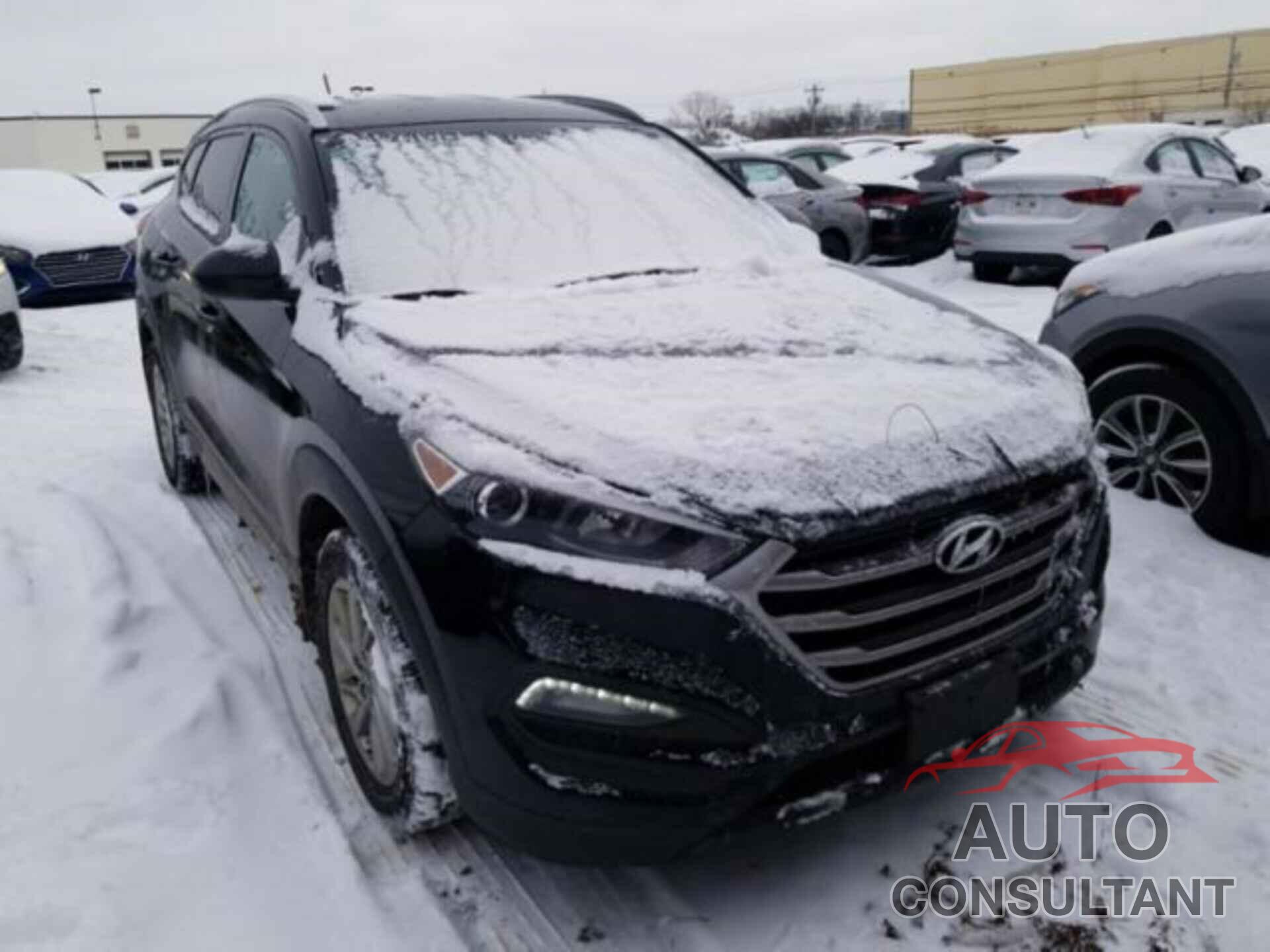 HYUNDAI TUCSON 2017 - KM8J3CA43HU520286