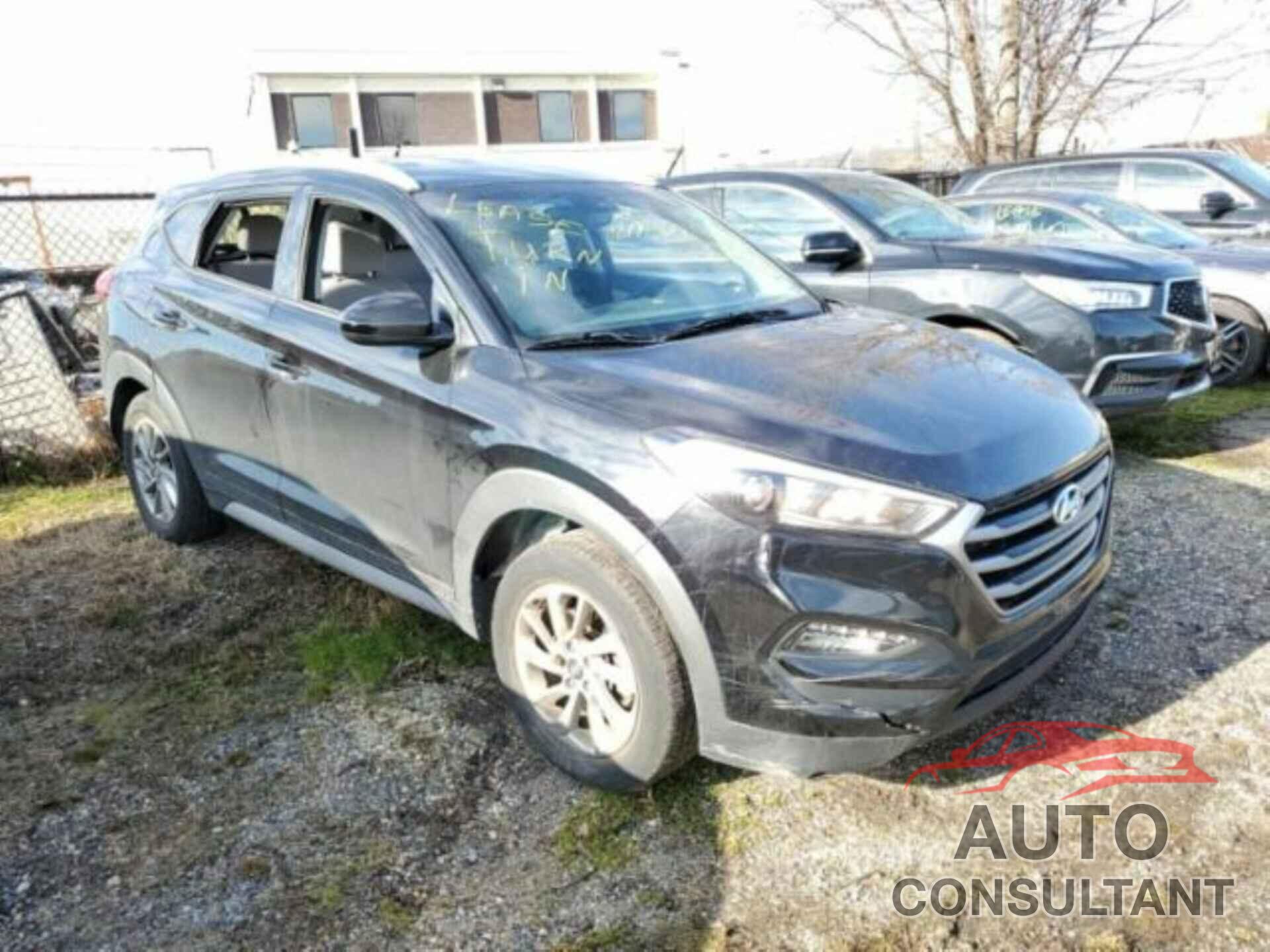HYUNDAI TUCSON 2017 - KM8J3CA49HU516050