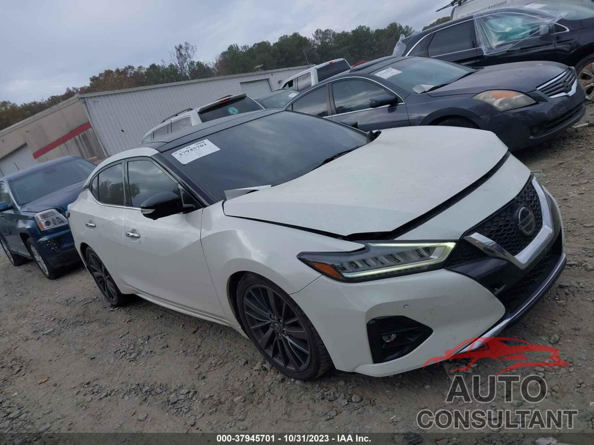 NISSAN MAXIMA 2019 - 1N4AA6AV2KC363230