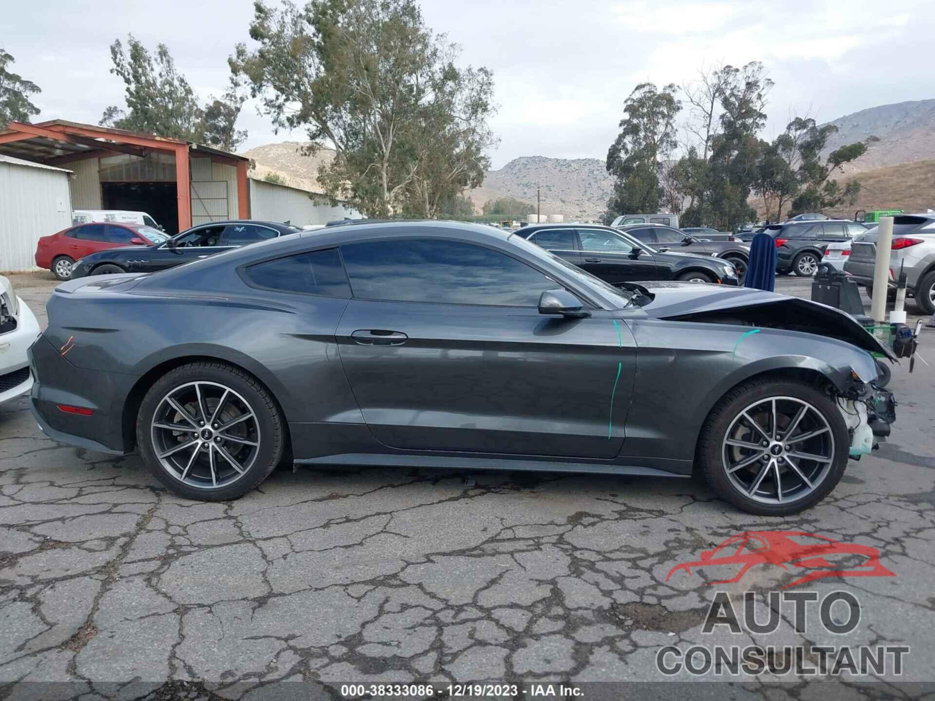 FORD MUSTANG 2019 - 1FA6P8TH1K5175519