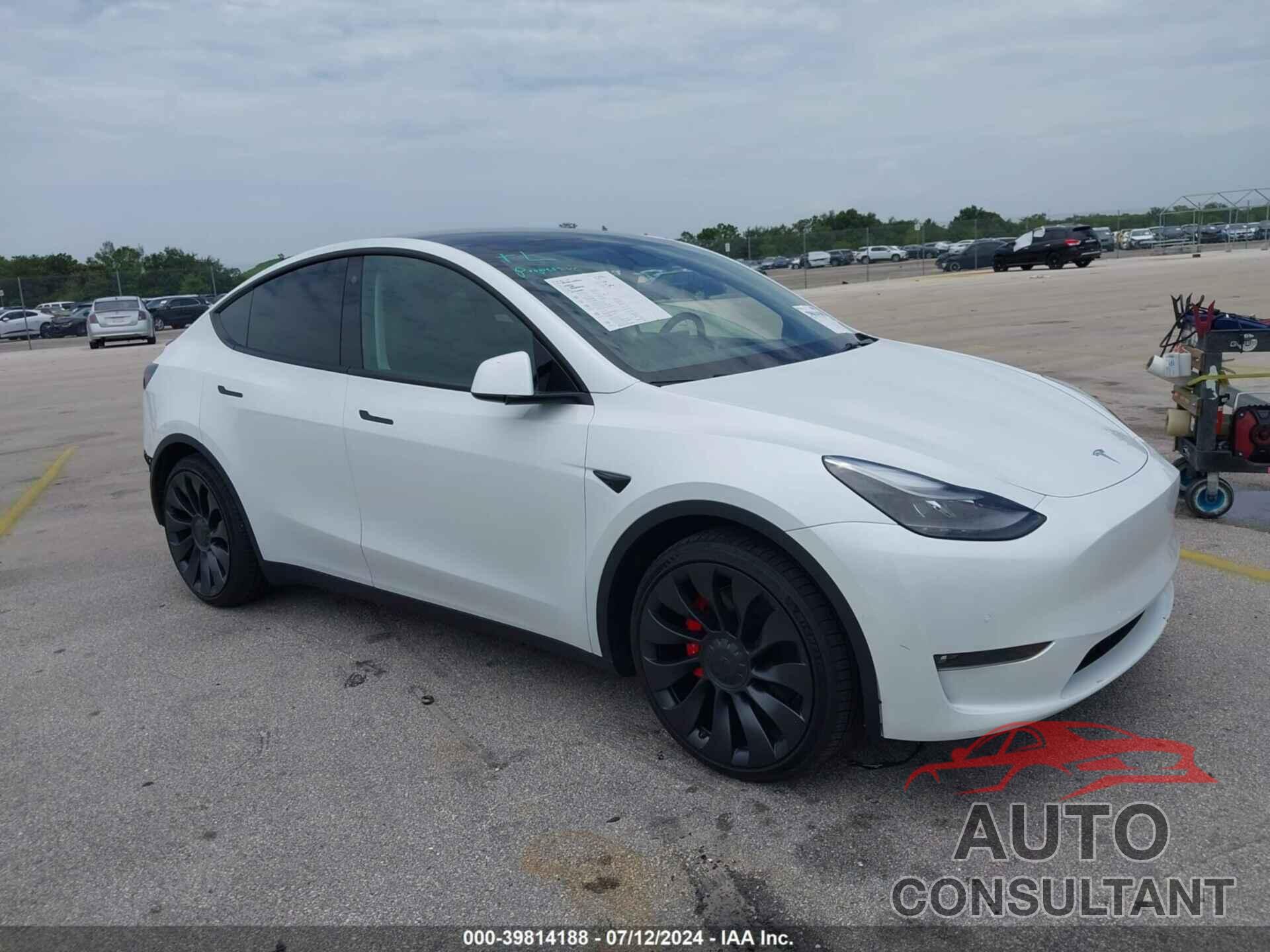 TESLA MODEL Y 2022 - 7SAYGDEF8NF460439