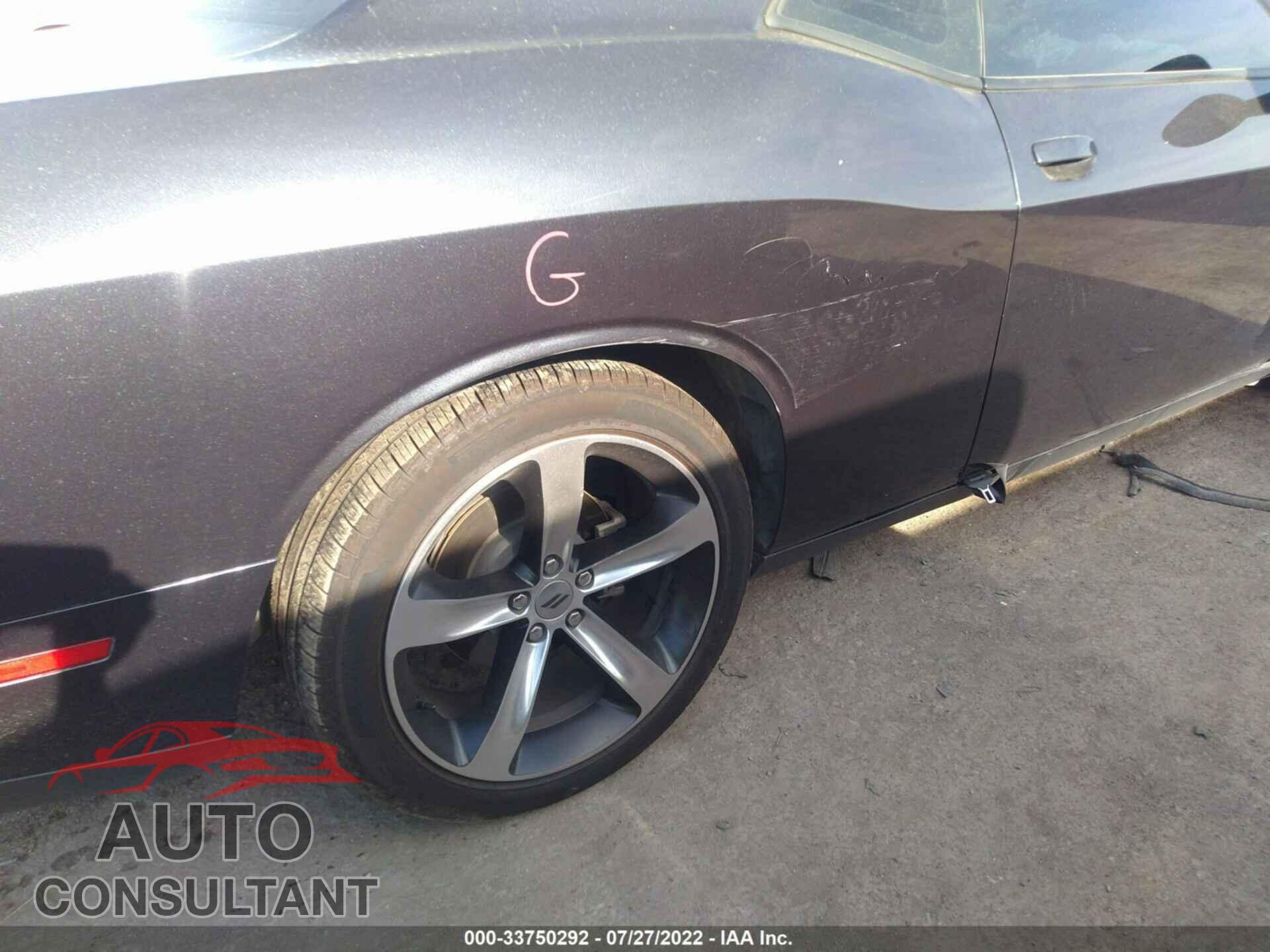 DODGE CHALLENGER 2019 - 2C3CDZBT9KH641633